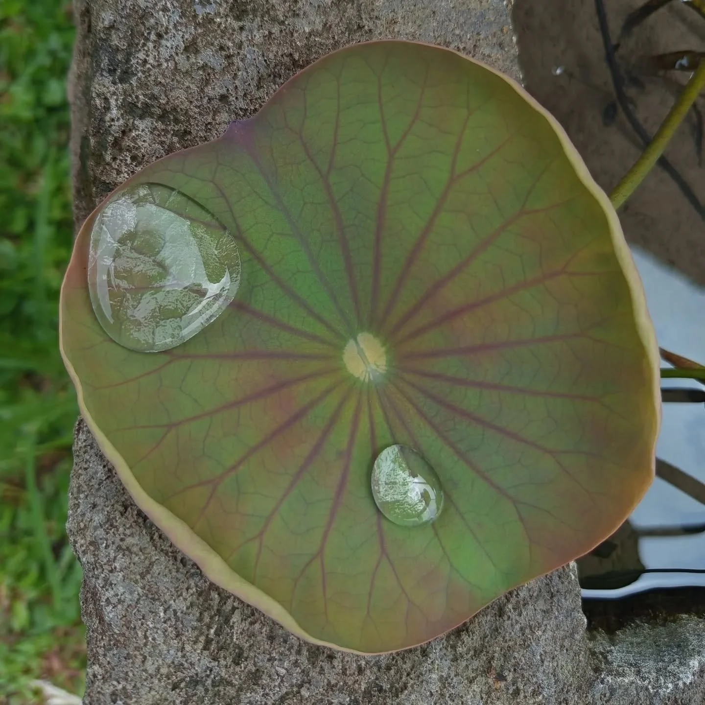 Impossible to touched but able to hold