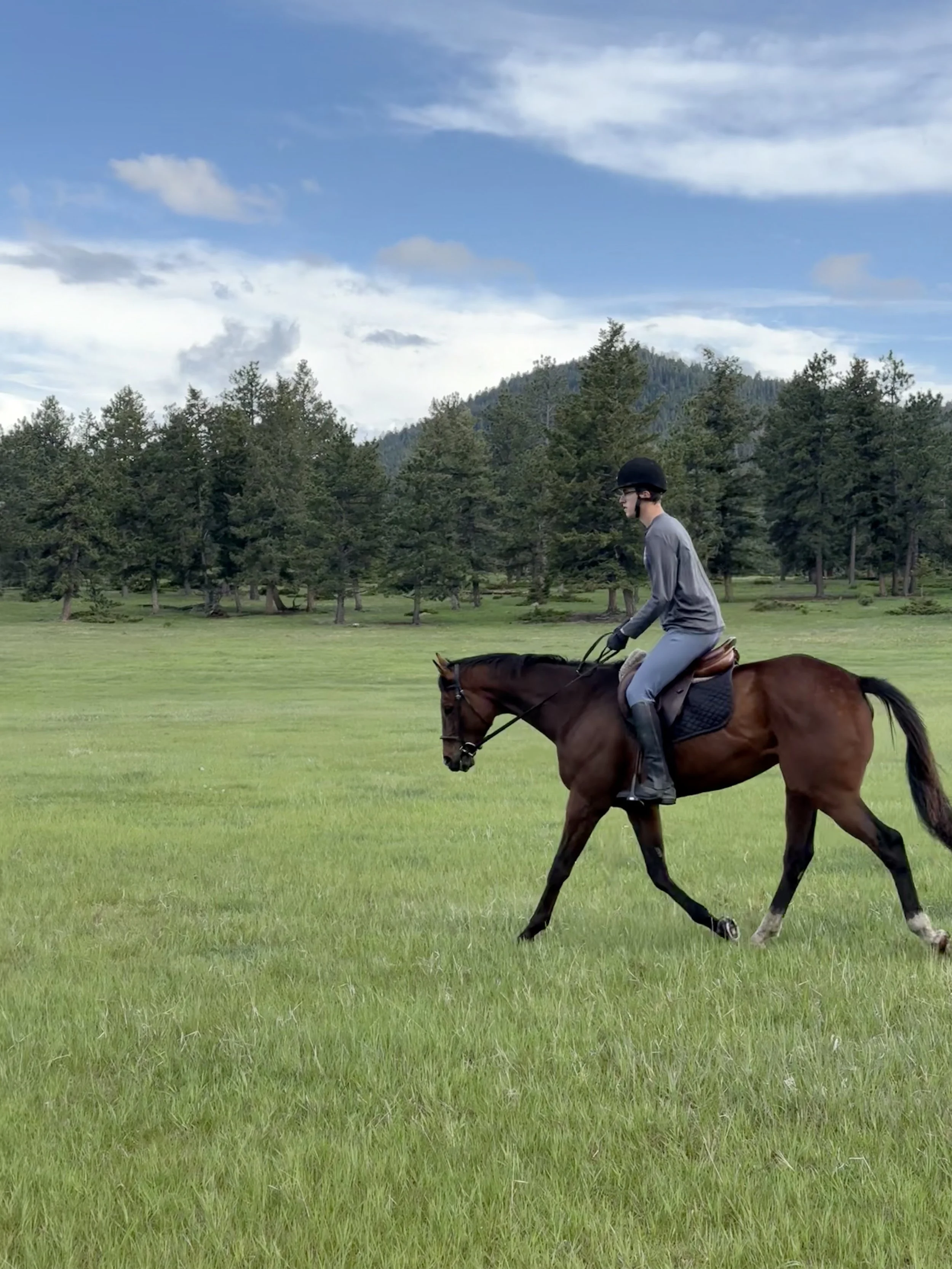 Jared Leigh schooling Camargo in a grassy field.