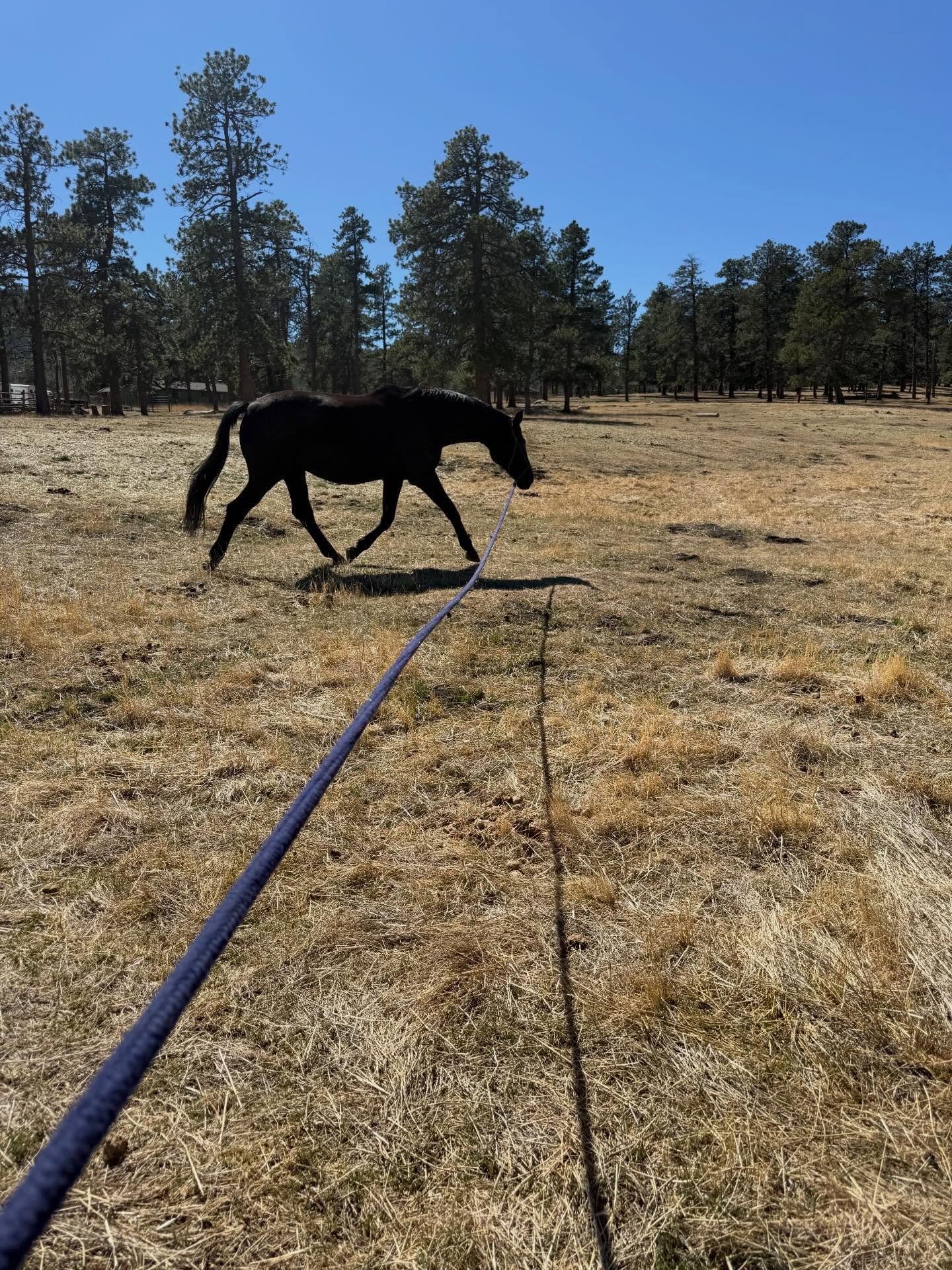 Back to work 💪🏻