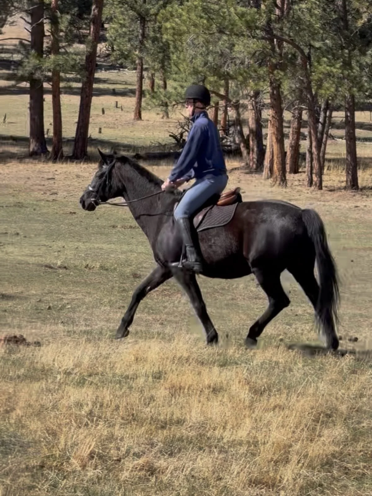 Perfect day for a ride ☀️ 🐰