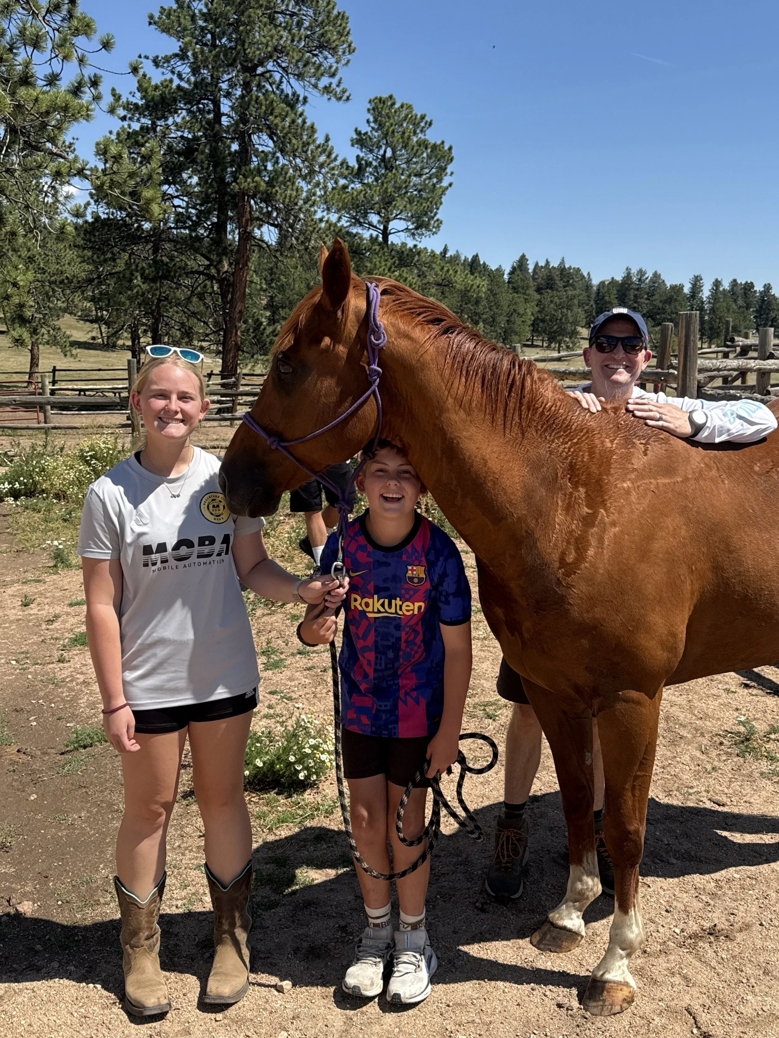 Chestnut Gelding with new family.
