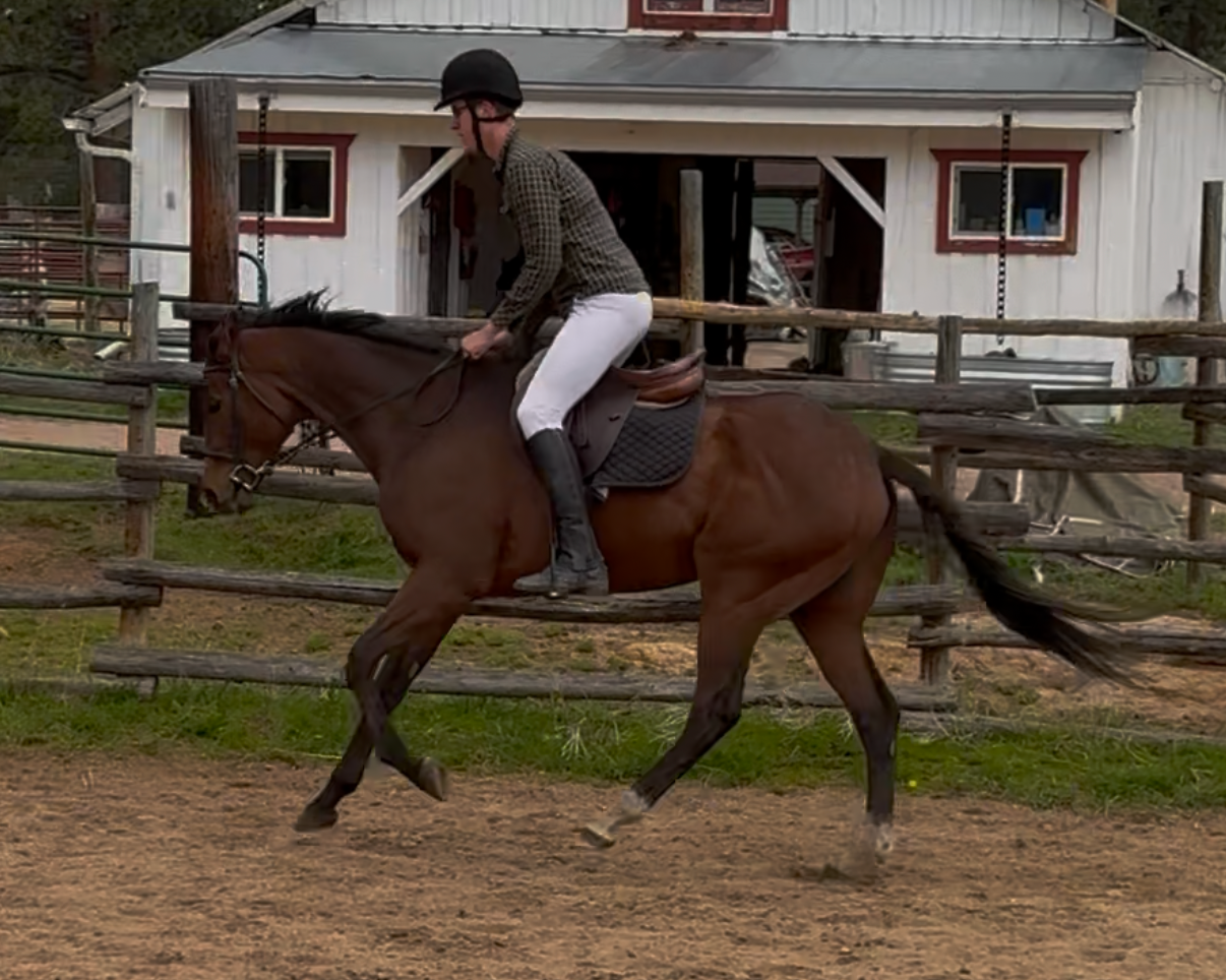 A brown horse standing on dirt ground in front of a white barn with red trim, under a partly cloudy sky.
