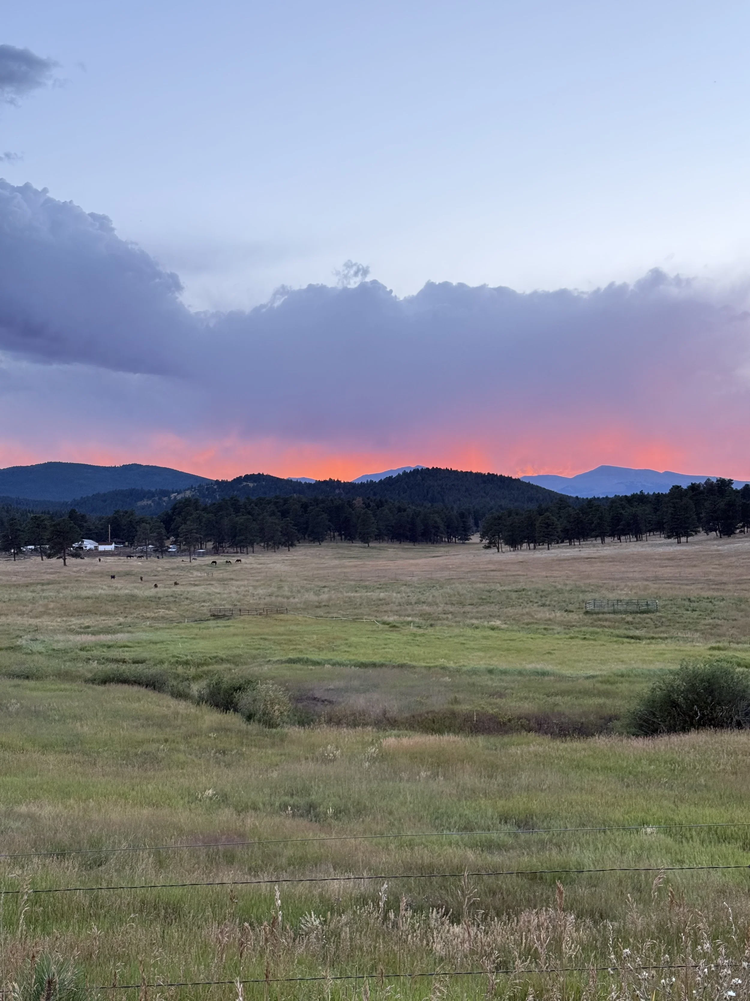 Scenic landscape of a grassy field with trees, rolling hills, and distant mountains under a sky with purple and orange hues at sunset, some clouds present.