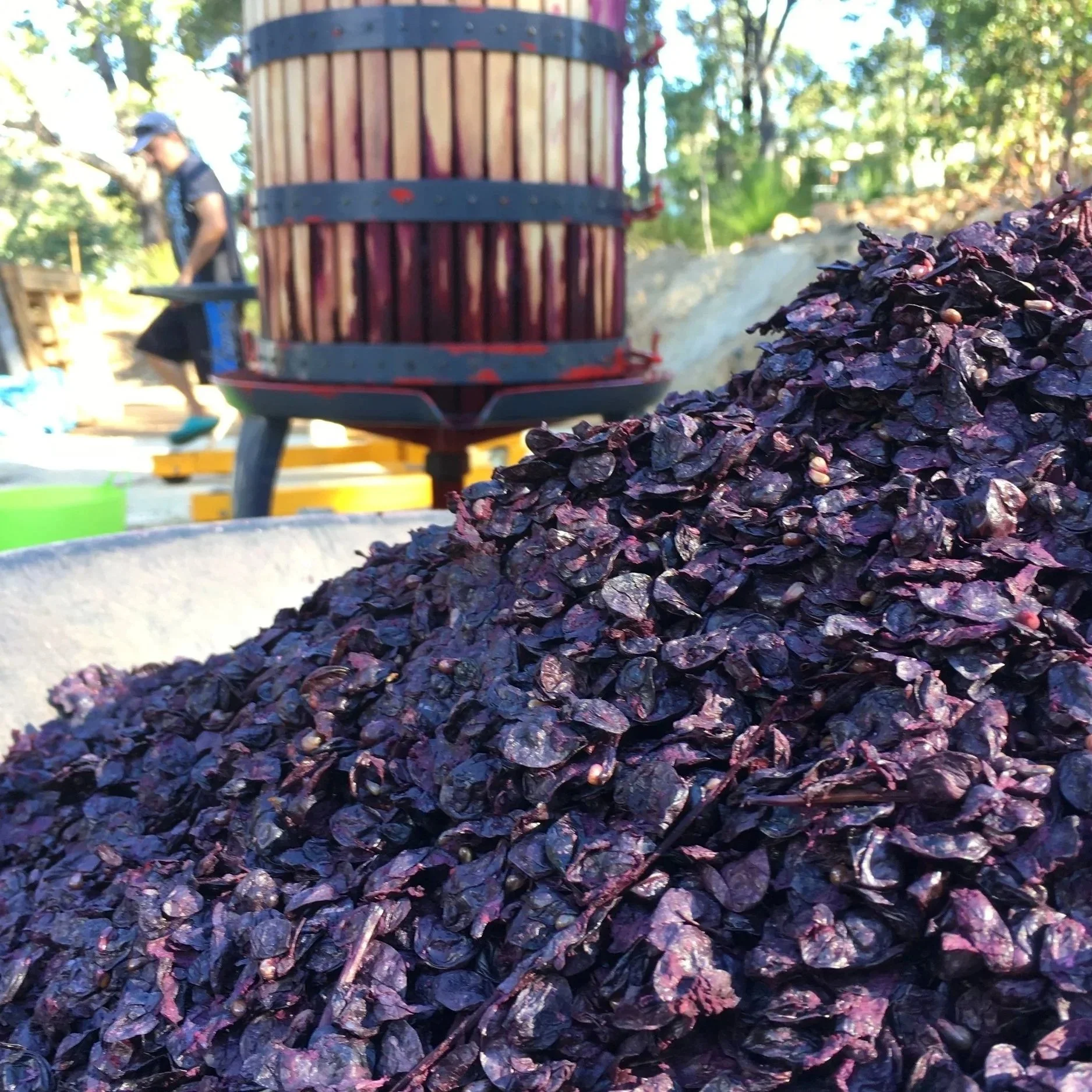 Decks and Patios icon