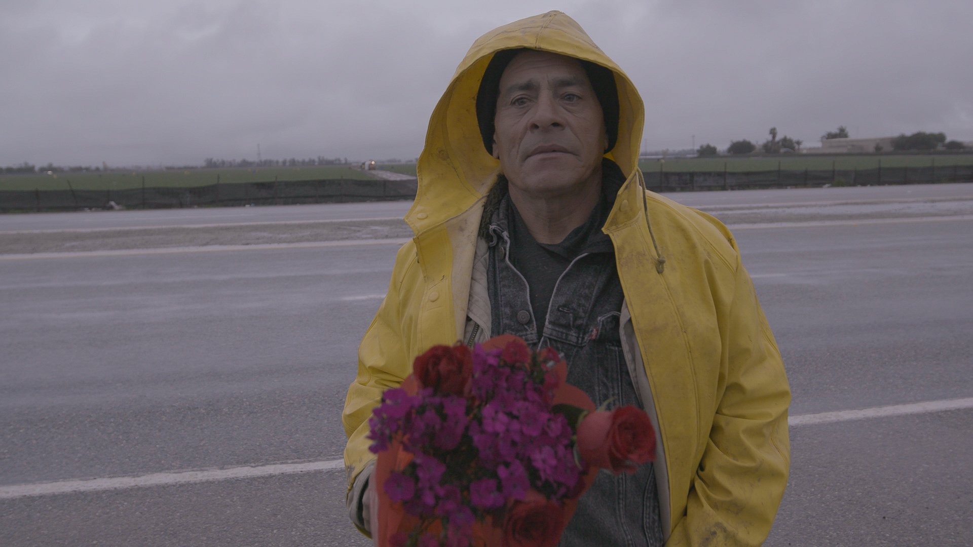 RAIN MADE ROSE Still (Ulisses).jpg