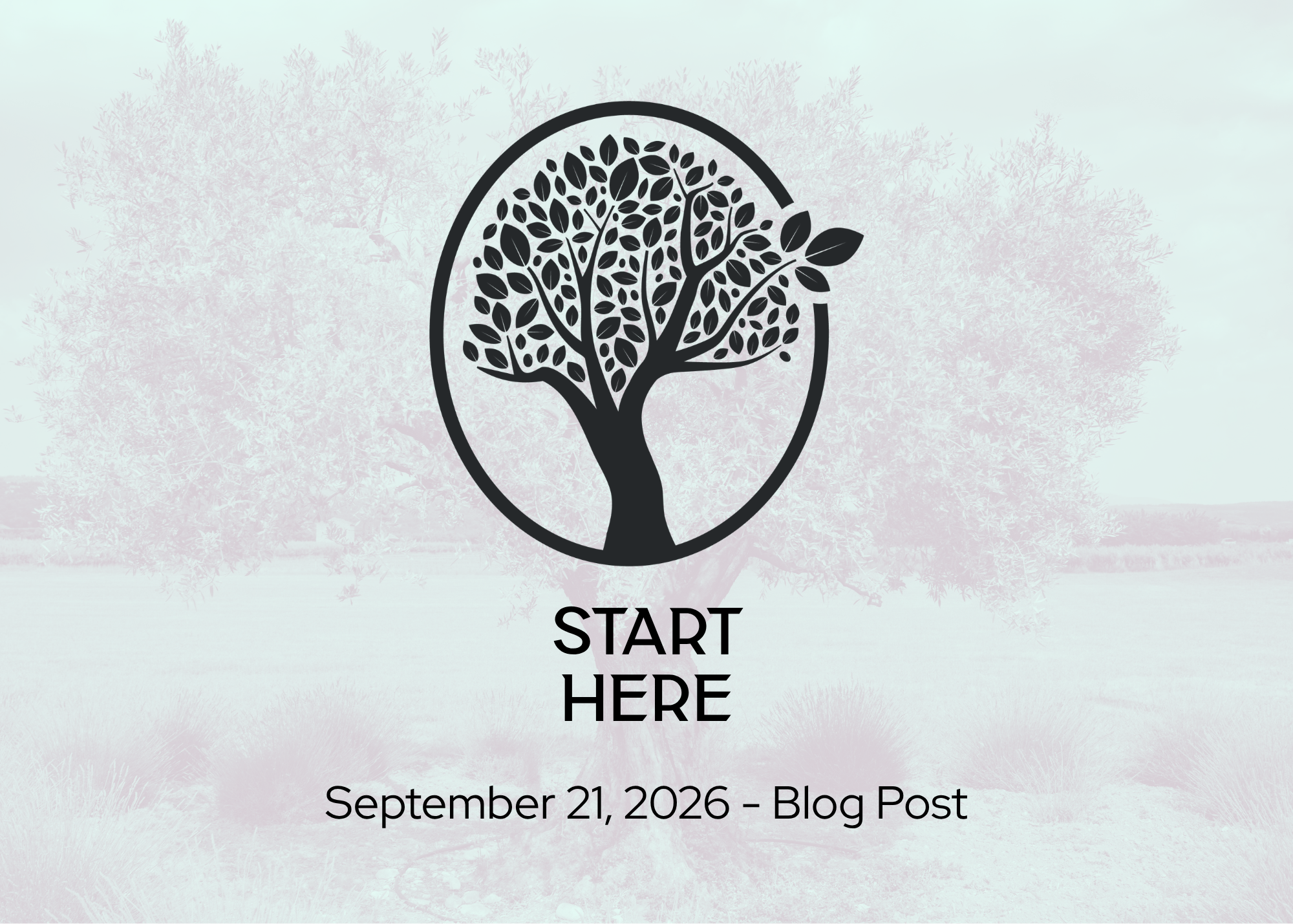 Start Here