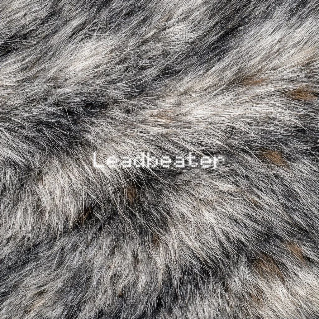 Denny The First single - Leadbeater