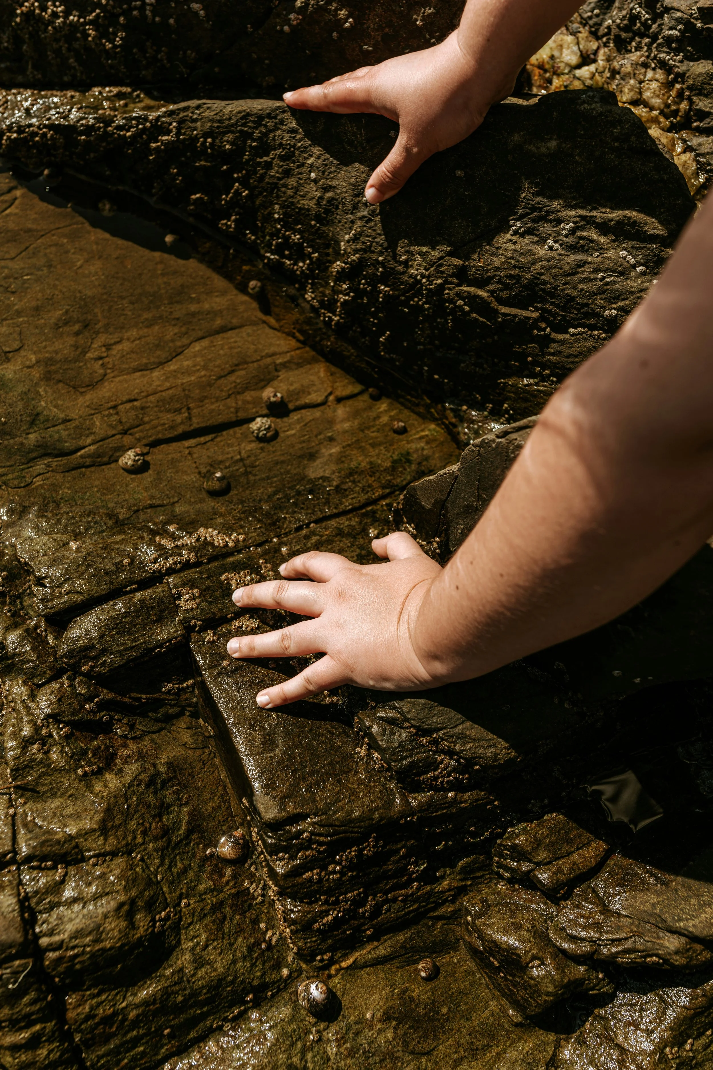 Hand resting on stone symbolising grounding and balance