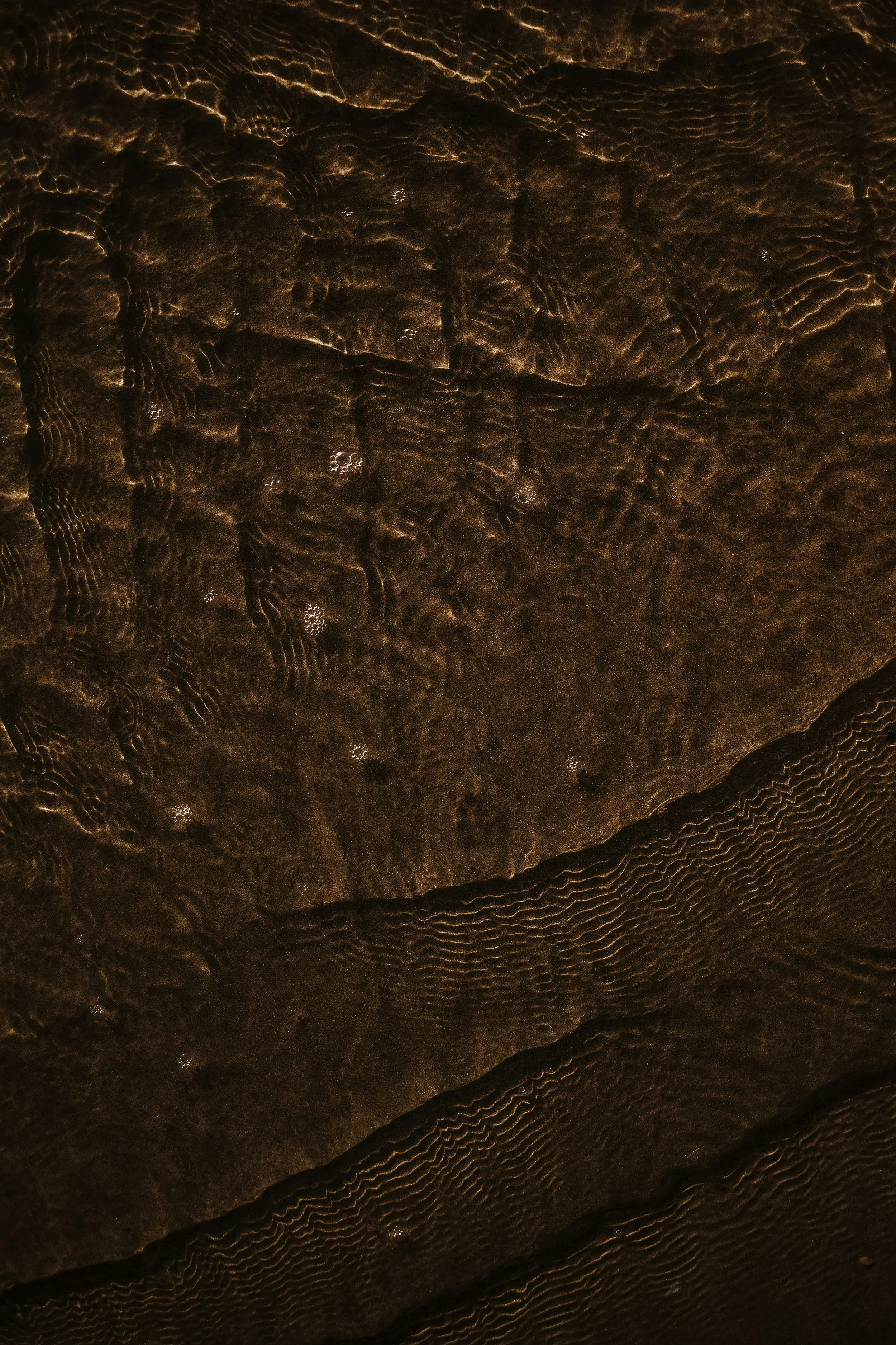 leaves in water symbolising calm and natural healing