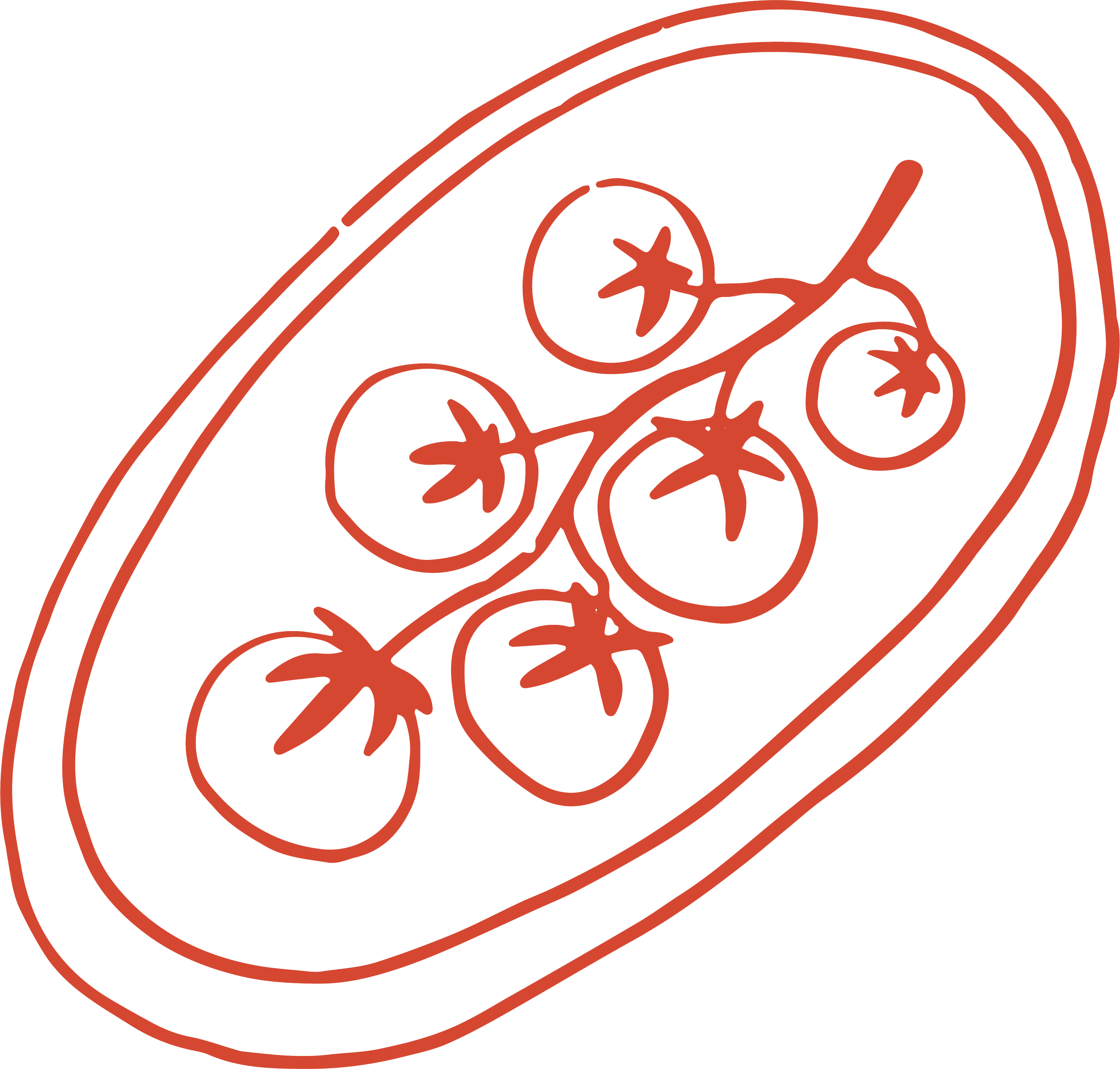 illustration of tomatoes on a vine sitting on a plate