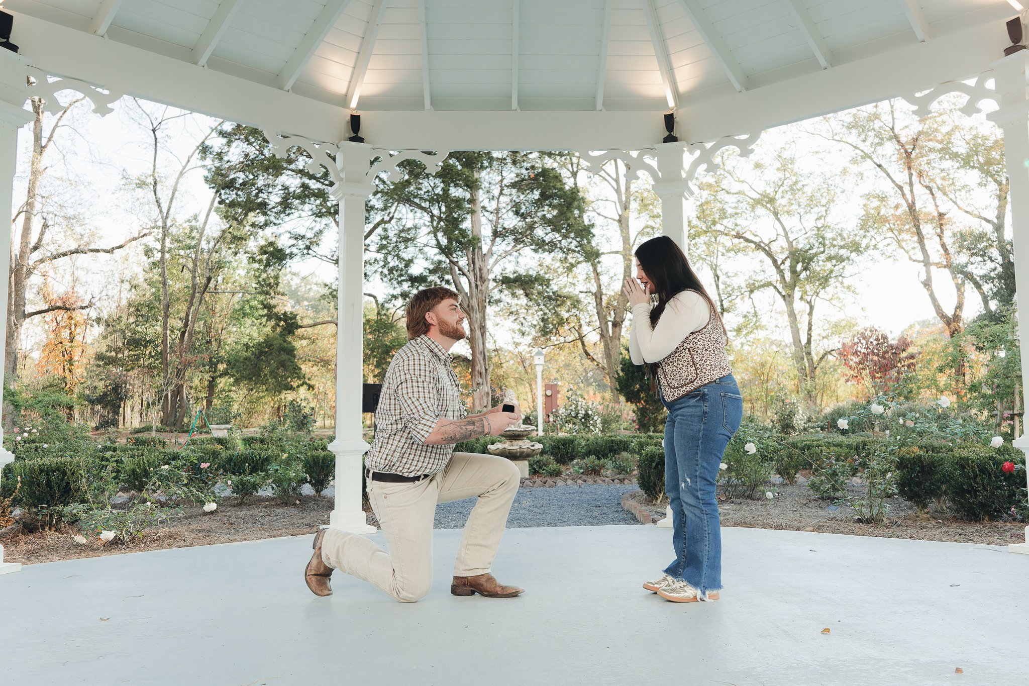 DSC02695-DxO_DeepPRIME XD2s.jpg