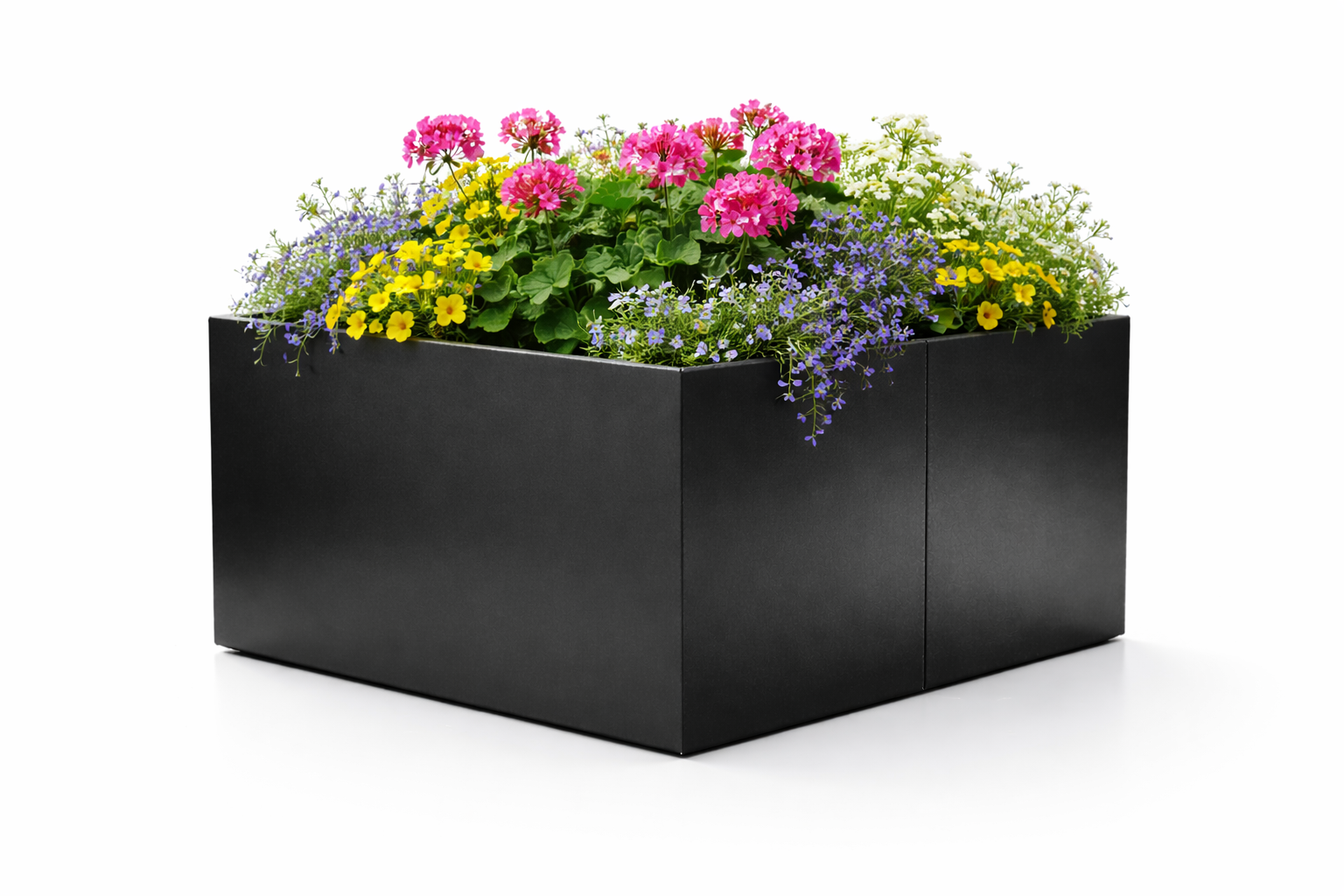 Rektangulært  lakkert stål plantekasse med flotte blomster.