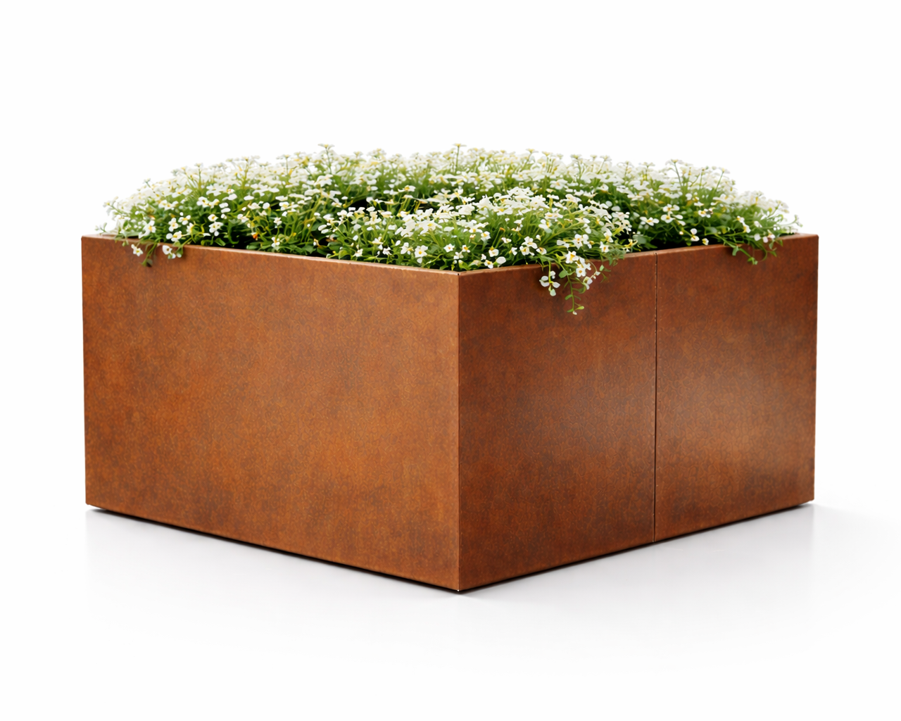 Rektangulært corten stål plantekasse med hvite blomster.