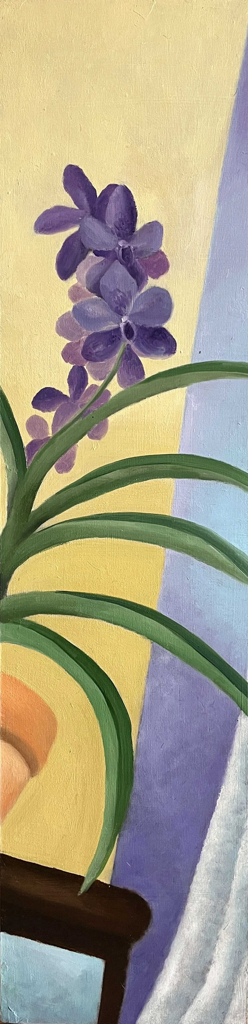 萬代蘭 Vanda Orchid