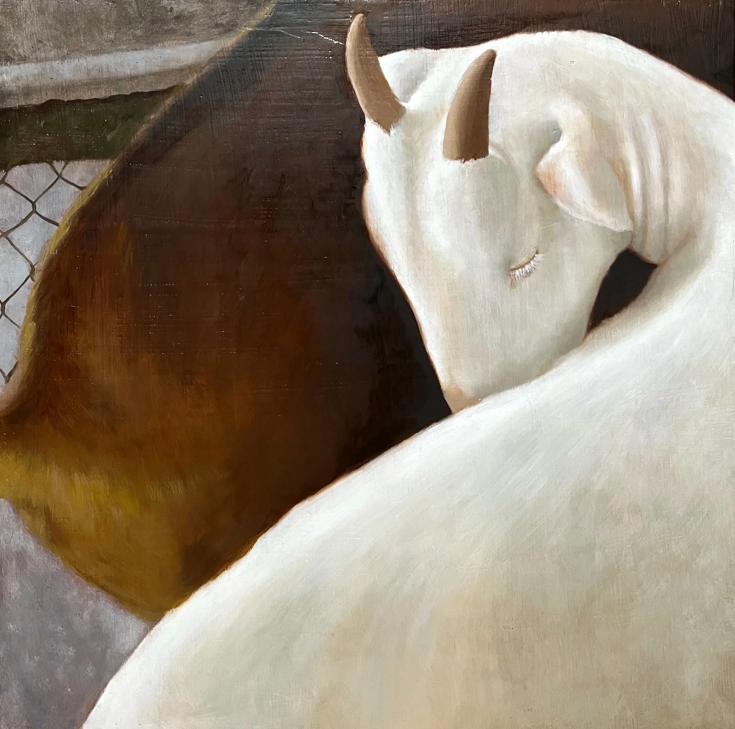 白羊 White goat |2022 |60x60cm |Oil on panel