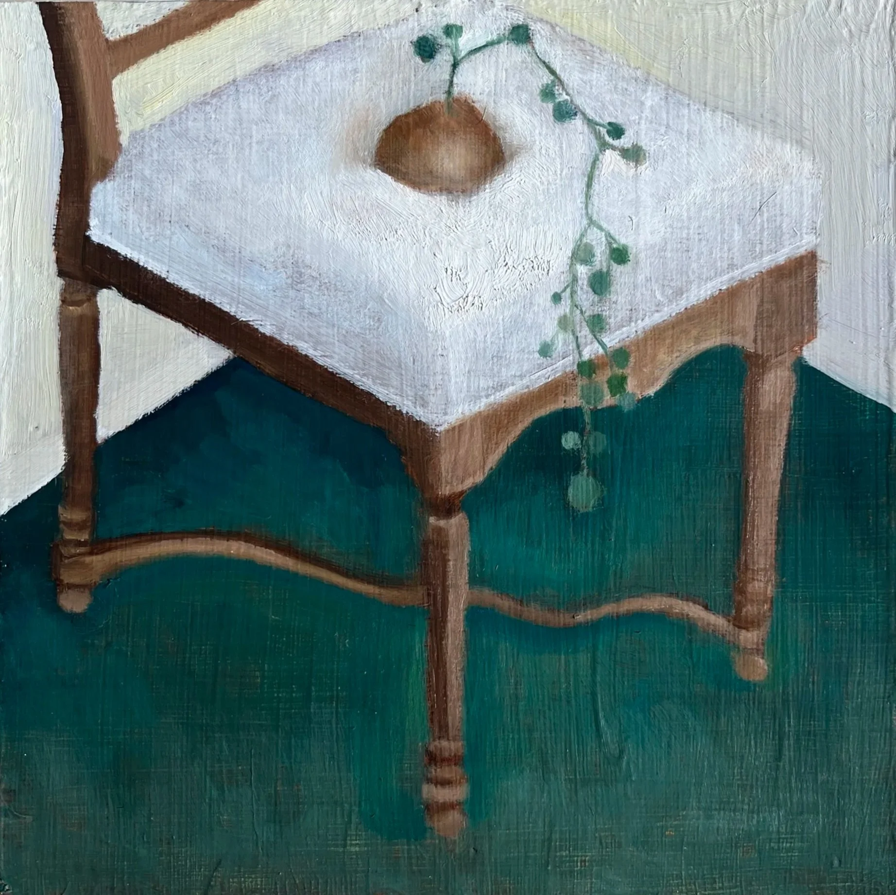 椅子上的山烏龜  Stephania erecta on the chair