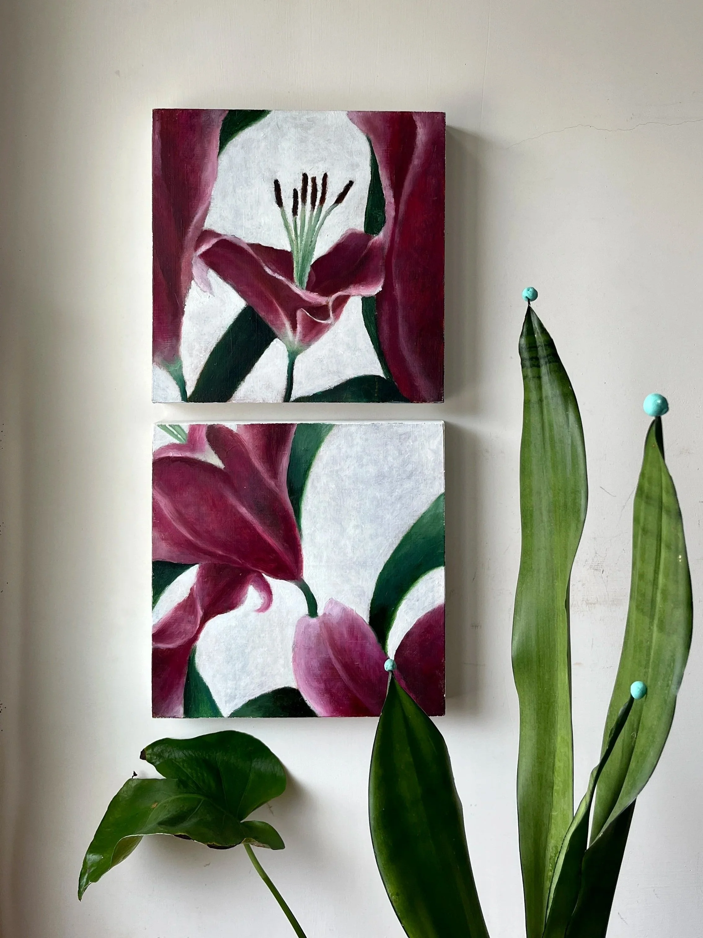 百合 Lily 1-2 |2024 |23x23cm |Oil on cypress wood panel