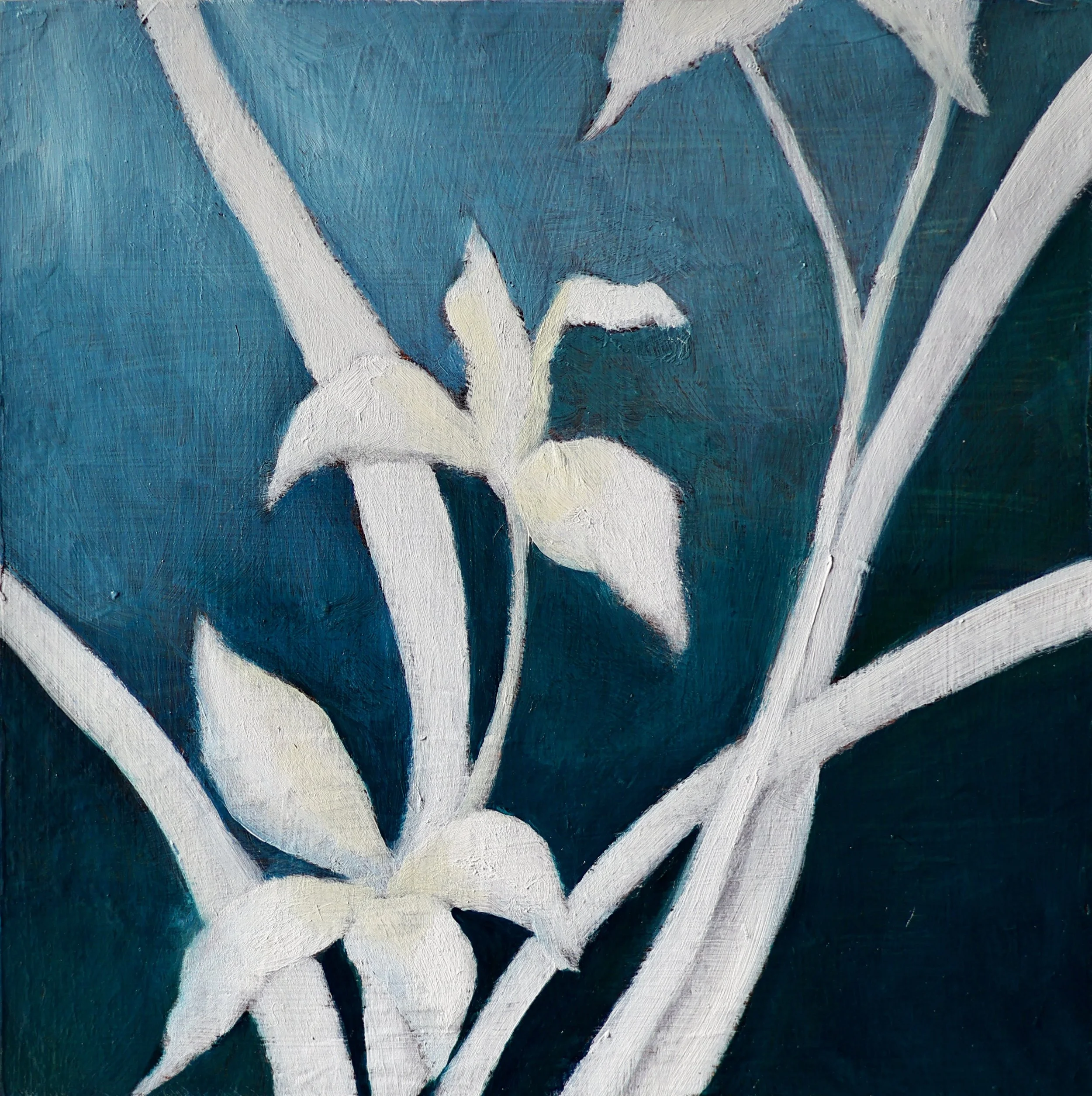 月夜裡的花2 Flowers in the Moonlight