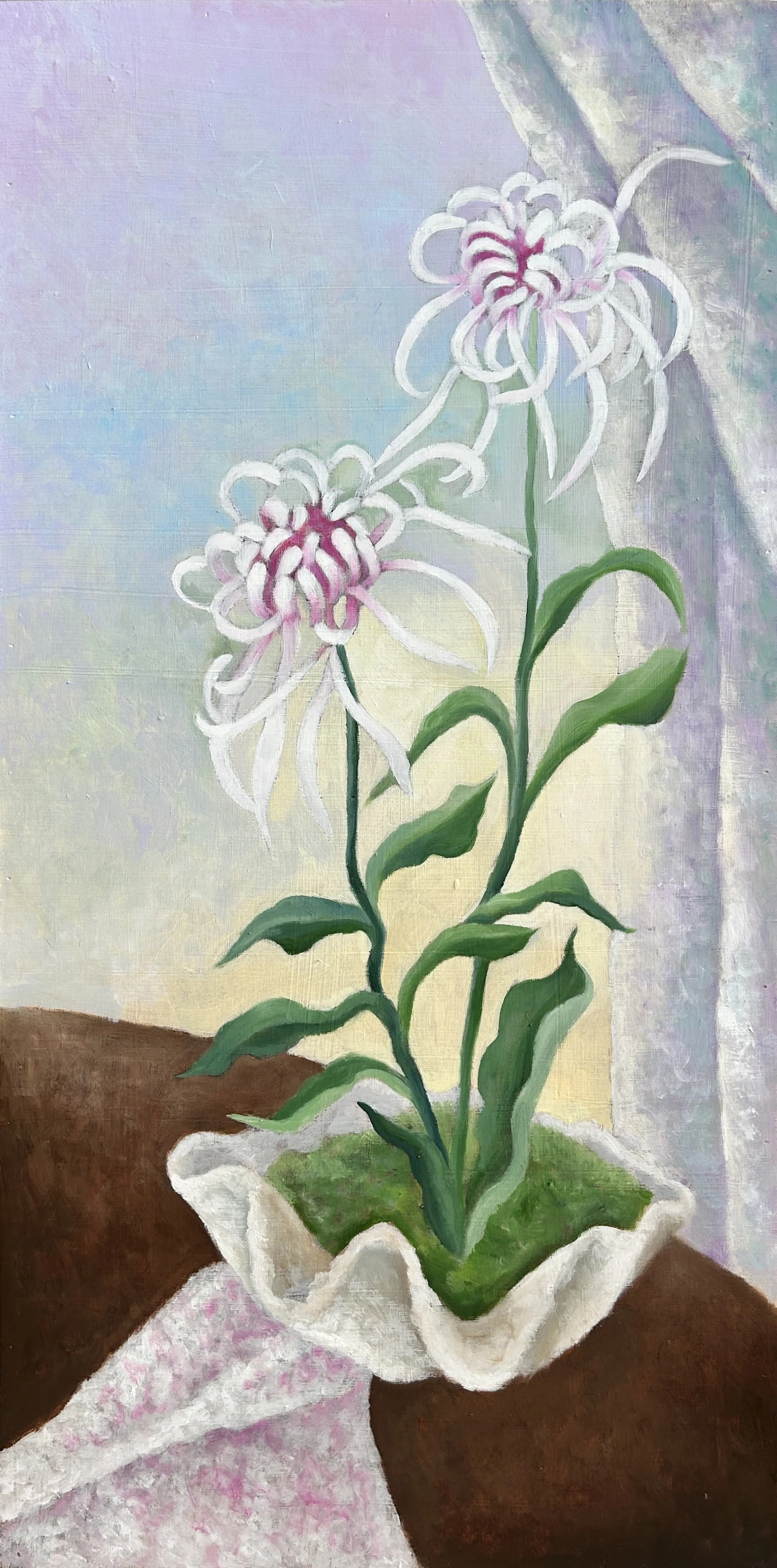 瑞雲殿 chrysanthemum |2025 |40x80cm | Oil on panel