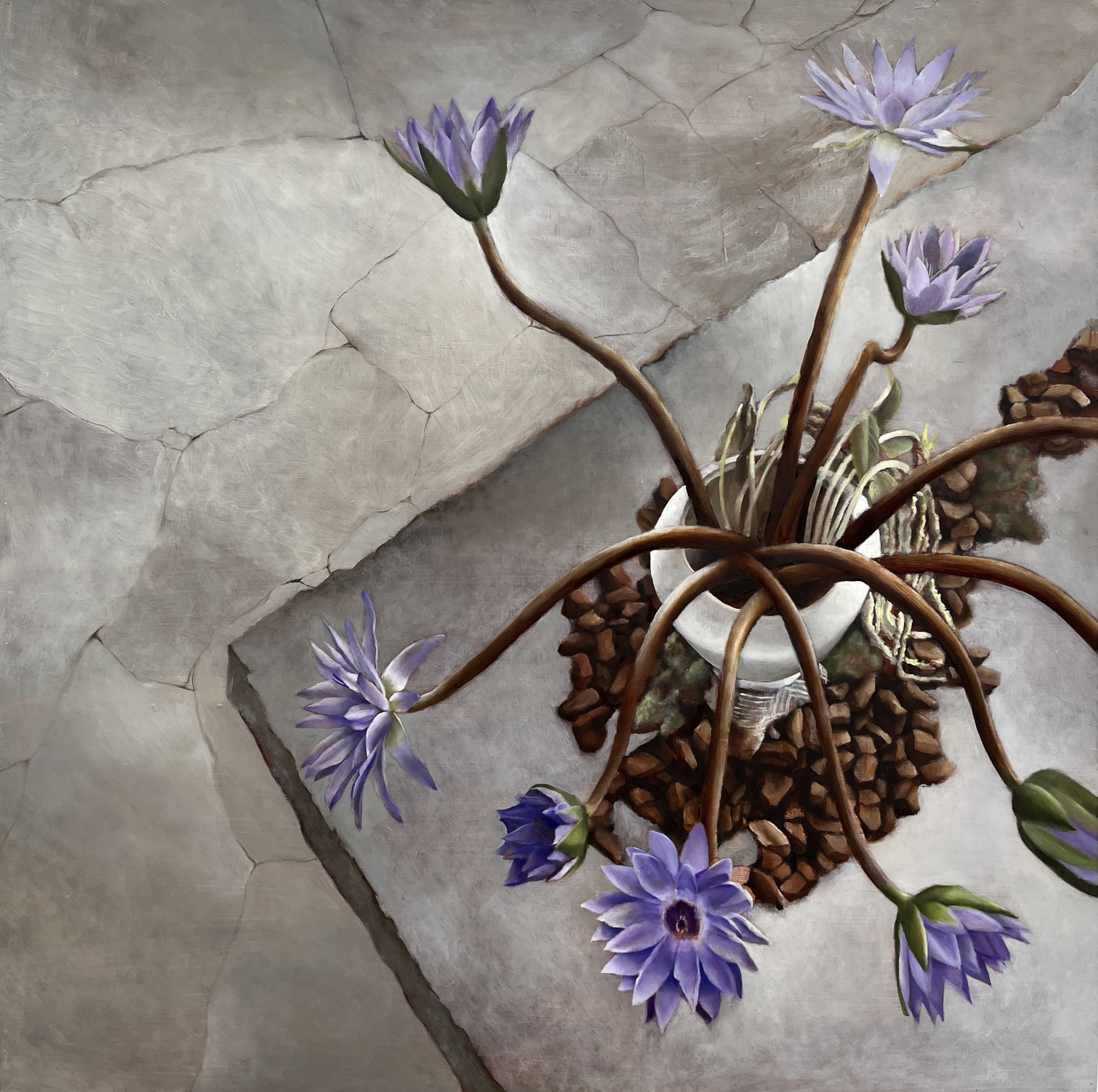  美麗的哀愁 Beautiful melancholy|2022 |90x90cm |Oil on panel