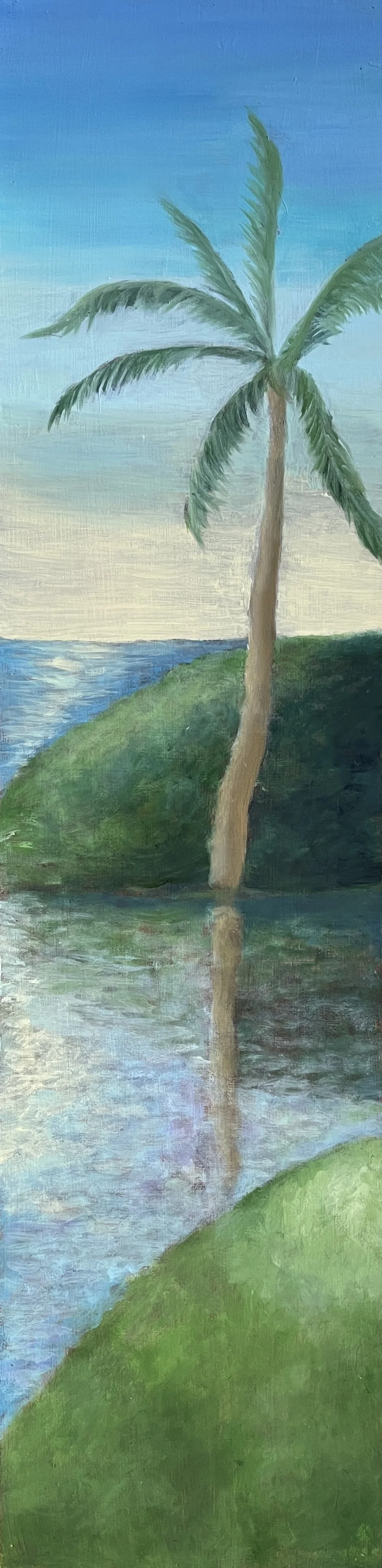 對面的椰子樹 Coconut Tree Across the Way