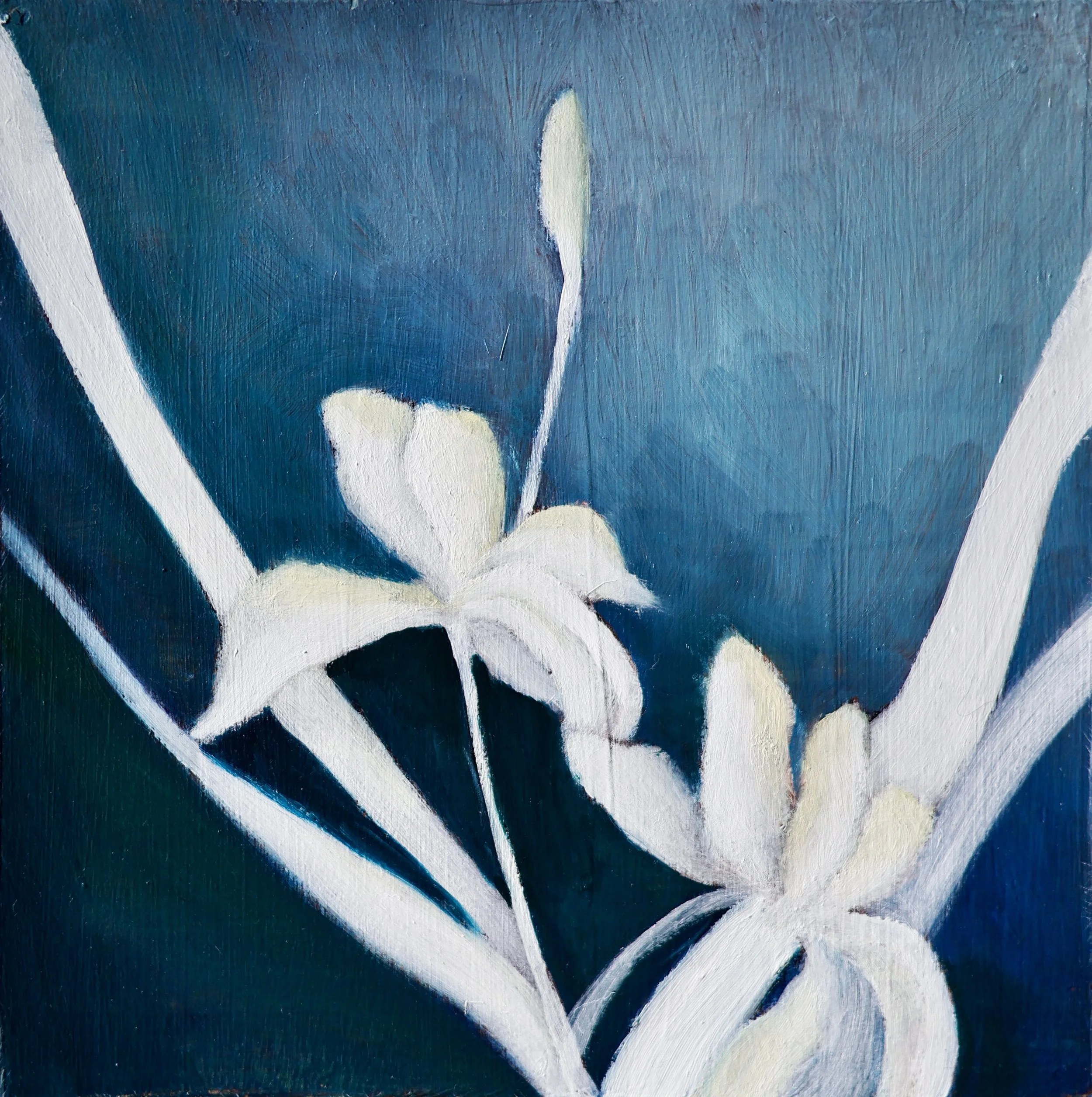 月夜裡的花1 Flowers in the Moonlight