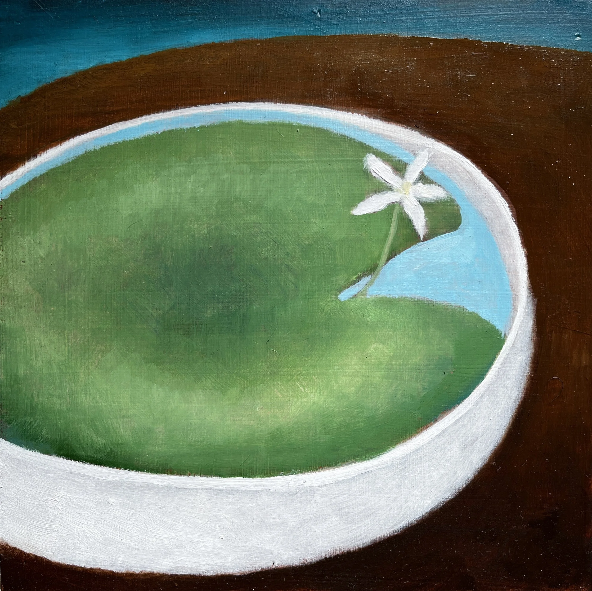 一葉蓮 2 Single-leaf Lotus 2