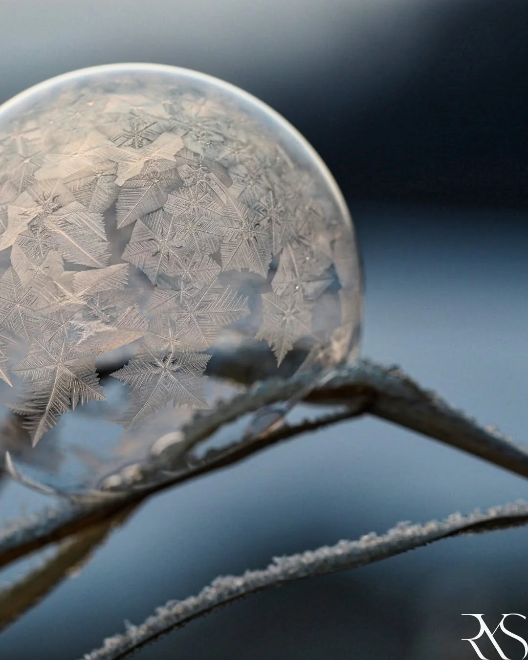 Every season brings its own momentum - a chance to reflect, refine, and step into what's next with clarity. 

We're embracing this moment with optimism and a renewed commitment to thoughtful, future-minded creativity. 

Progress isn't always loud. So