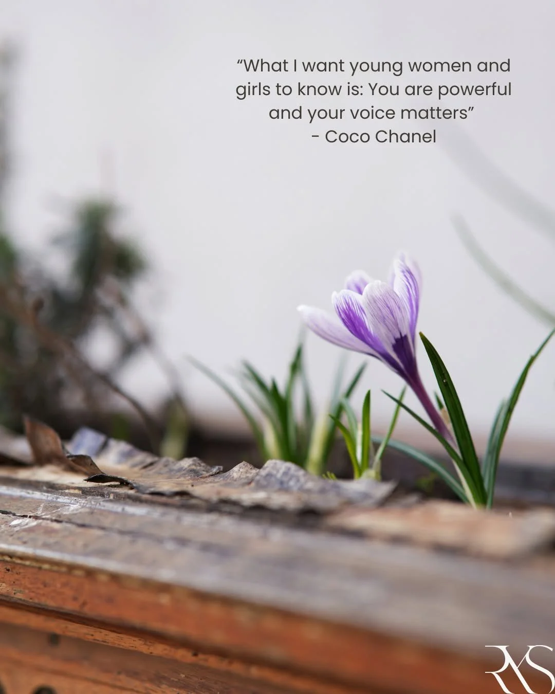 Every idea you share, every boundary you set, every dream you claim&hellip;it all shapes the world around you. 

Strength doesn't always roar. Sometimes it&rsquo;s the quiet confidence of knowing you deserve to be heard. 

So speak up 
Stand tall
Tak