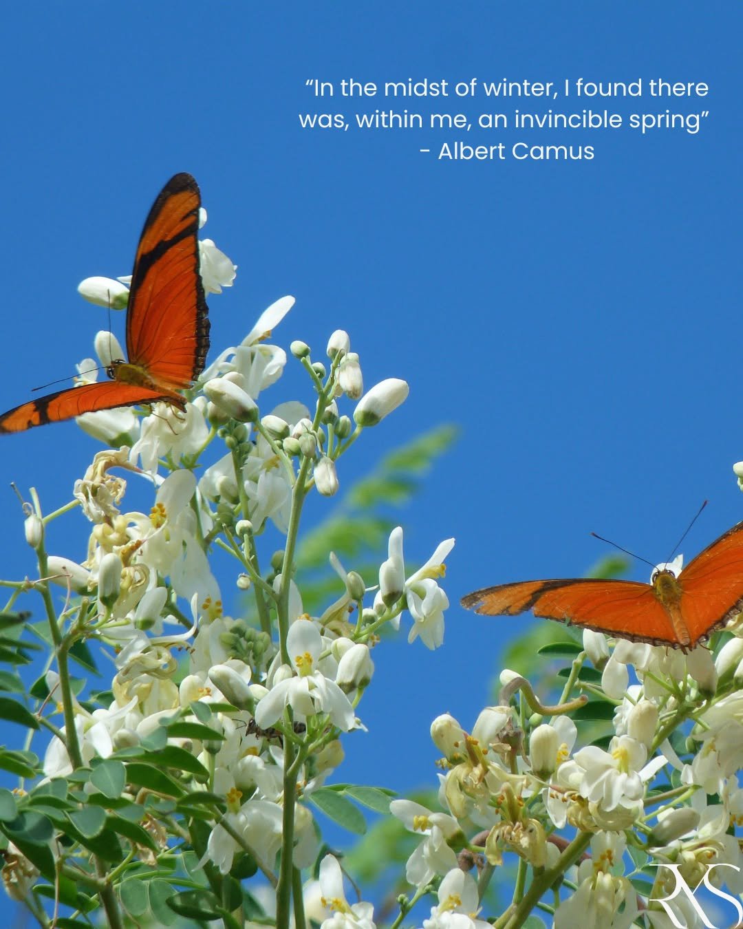Spring has a way of waking the world up&mdash;quietly at first, then all at once. New life, new color, new momentum. It&rsquo;s a season that mirrors the energy of our industry: ideas taking root, possibilities unfolding, and bold thinkers bringing f
