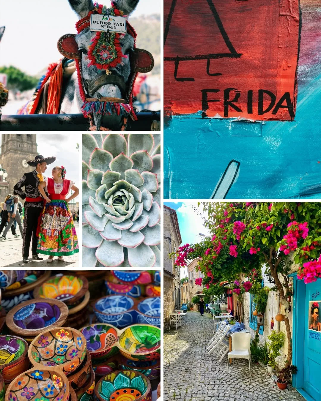 A kaleidoscope of colors inspires us as our storytelling comes to life. At Studio RYS, every bloom, mural, and handmade treasure shapes the way we create. Even the spirit of the playful donkey reminds us that the magic of the unexpected is where the 