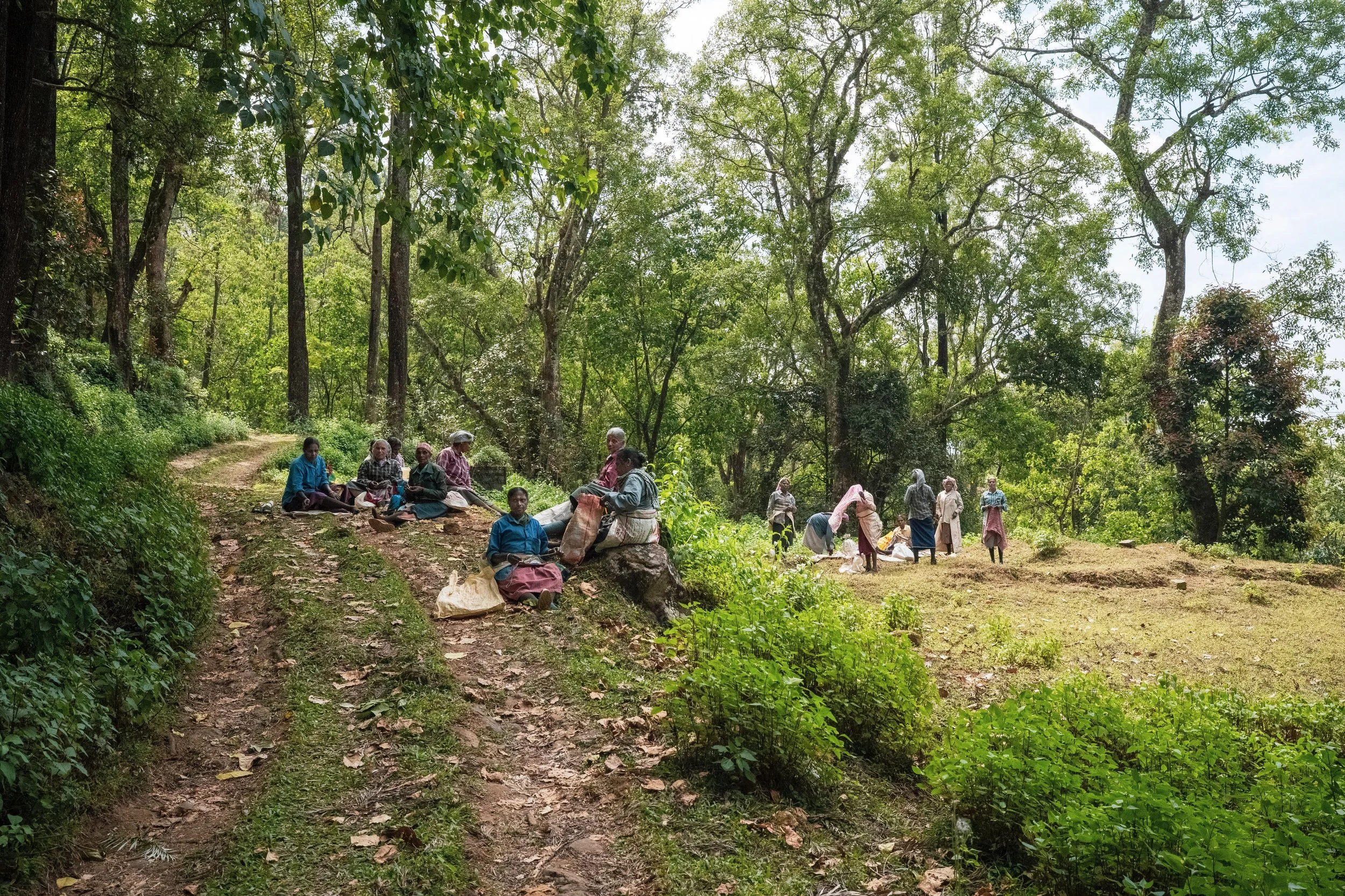 2._AG_0072 2 (3).jpeg