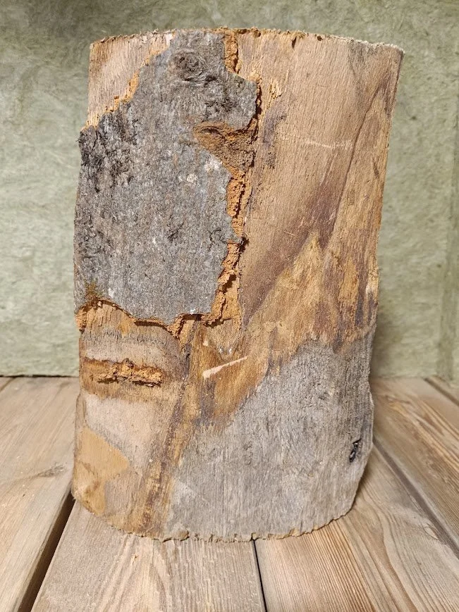 Le verso, dans son état naturel.