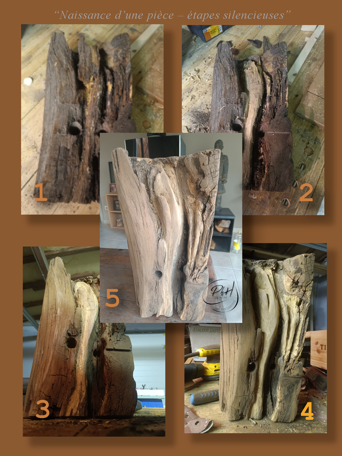 Cinq morceaux de bois brut et usés sont exposés, chacun avec une texture rugueuse et des trous, probablement créés par des insectes ou la décomposition. La légende indique qu'ils représentent les étapes silencieuses de la naissance d'une pièce.