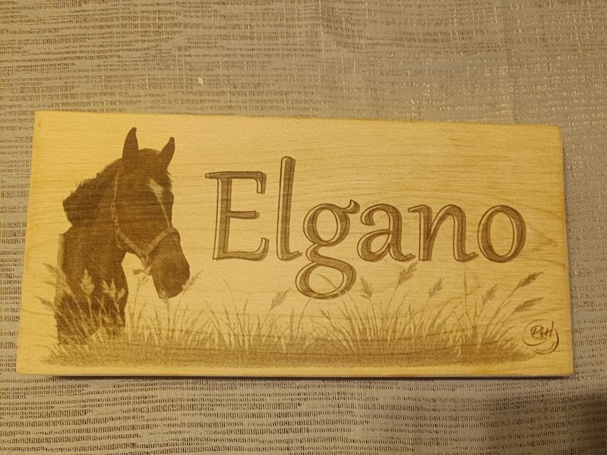 plaque Elgono 300 sur 140 phh design.jpg