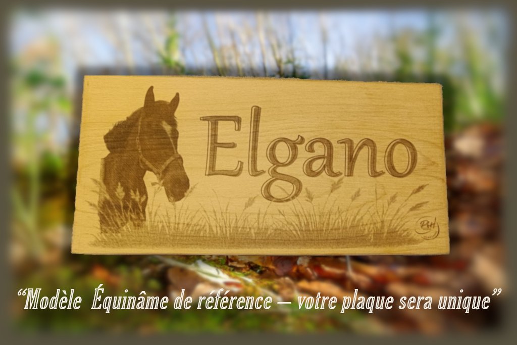 équinâme standart PhHDesign.jpg