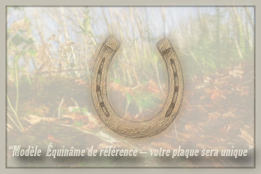 Équinâme "Standart" — Option : Fer à cheval intégré