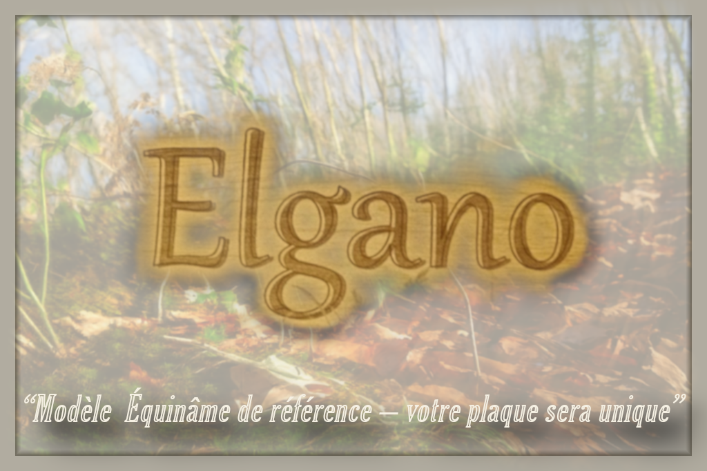 Équinâme Standart— Option : Données “Héritage”