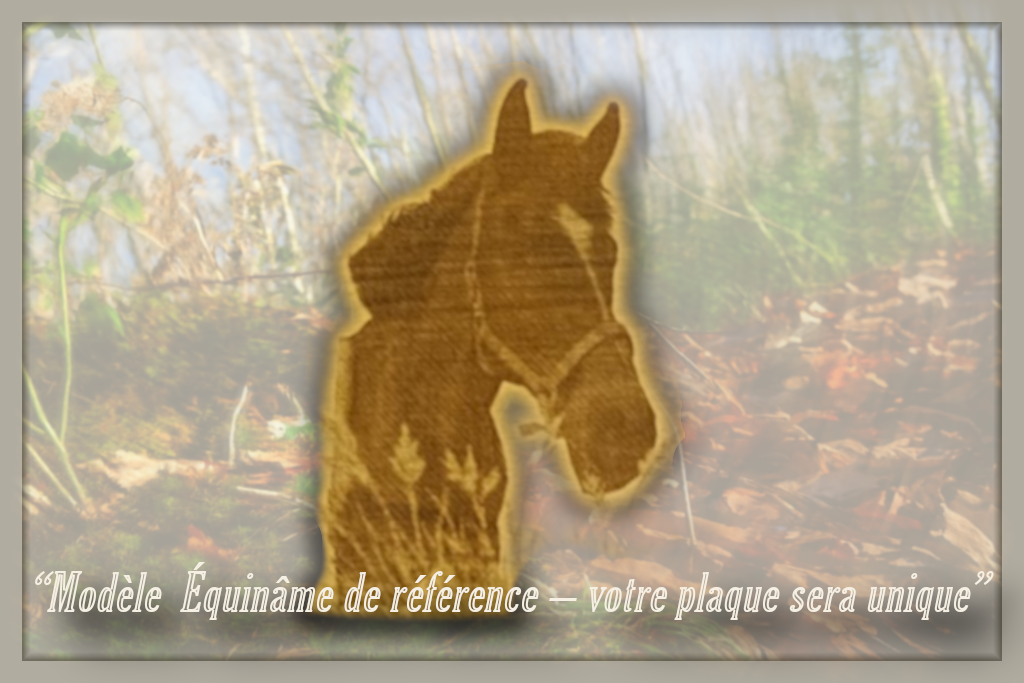 Équinâme "Standart" Option : Mini gravure personnelle