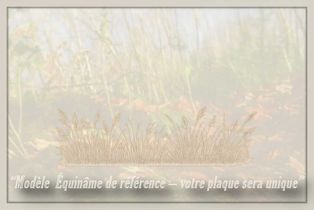 équinâme standart détail laser graminés PhHDesign.png