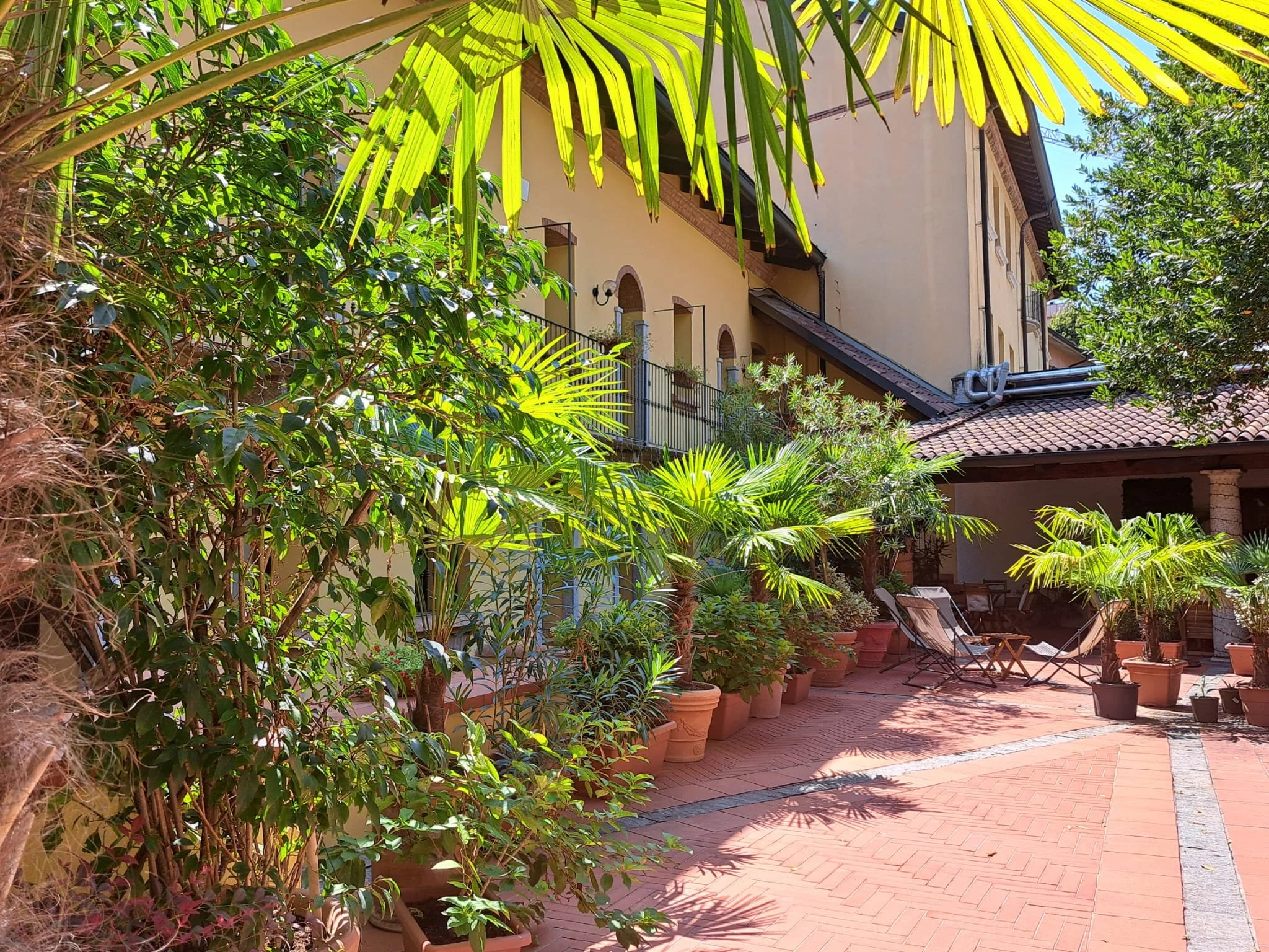 Immagine WhatsApp 2025-11-17 ore 13.36.30_8d96a88f.jpg