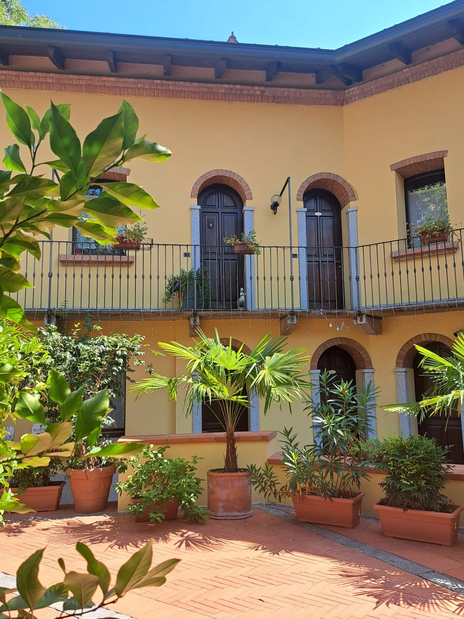 Immagine WhatsApp 2025-11-17 ore 13.36.34_42a01edf.jpg