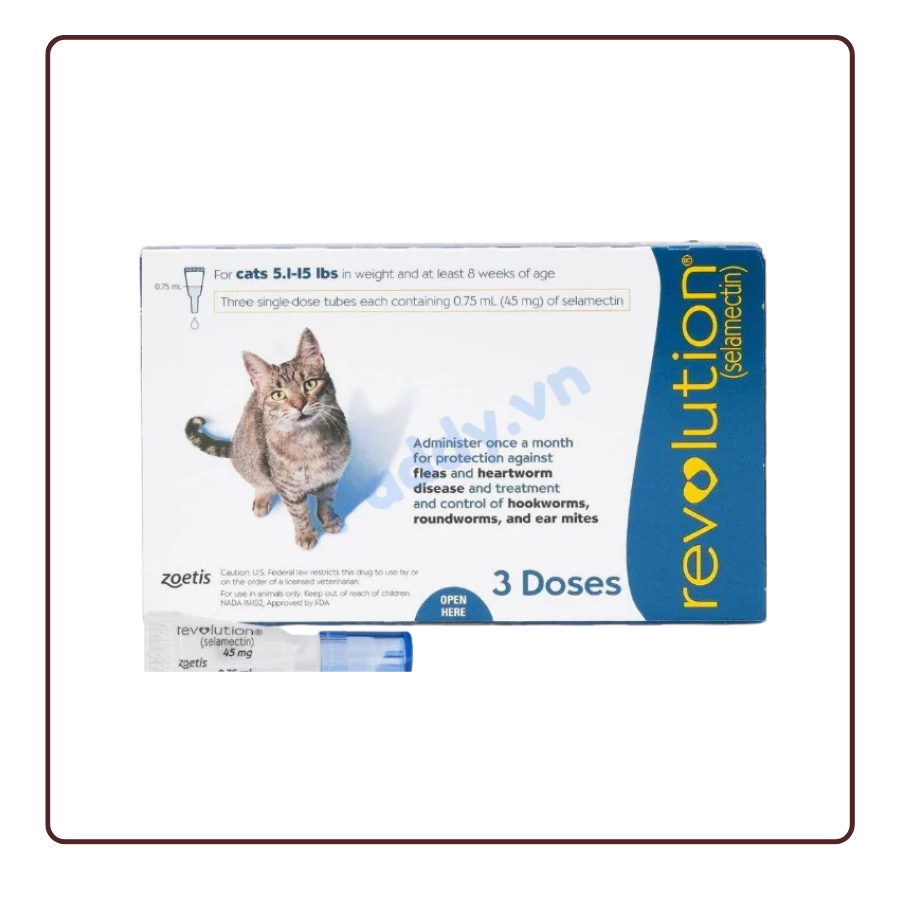 Nhỏ gáy Revolution