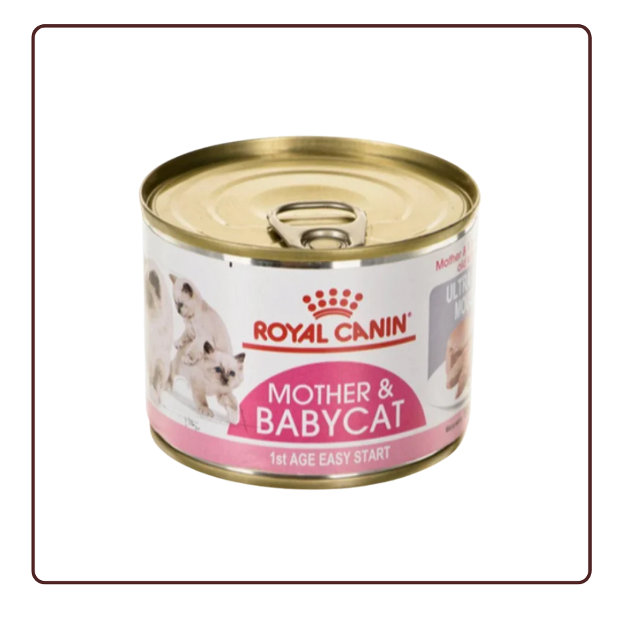 Pate Royal Canin Mother & Babycat (mèo mẹ & mèo con)
