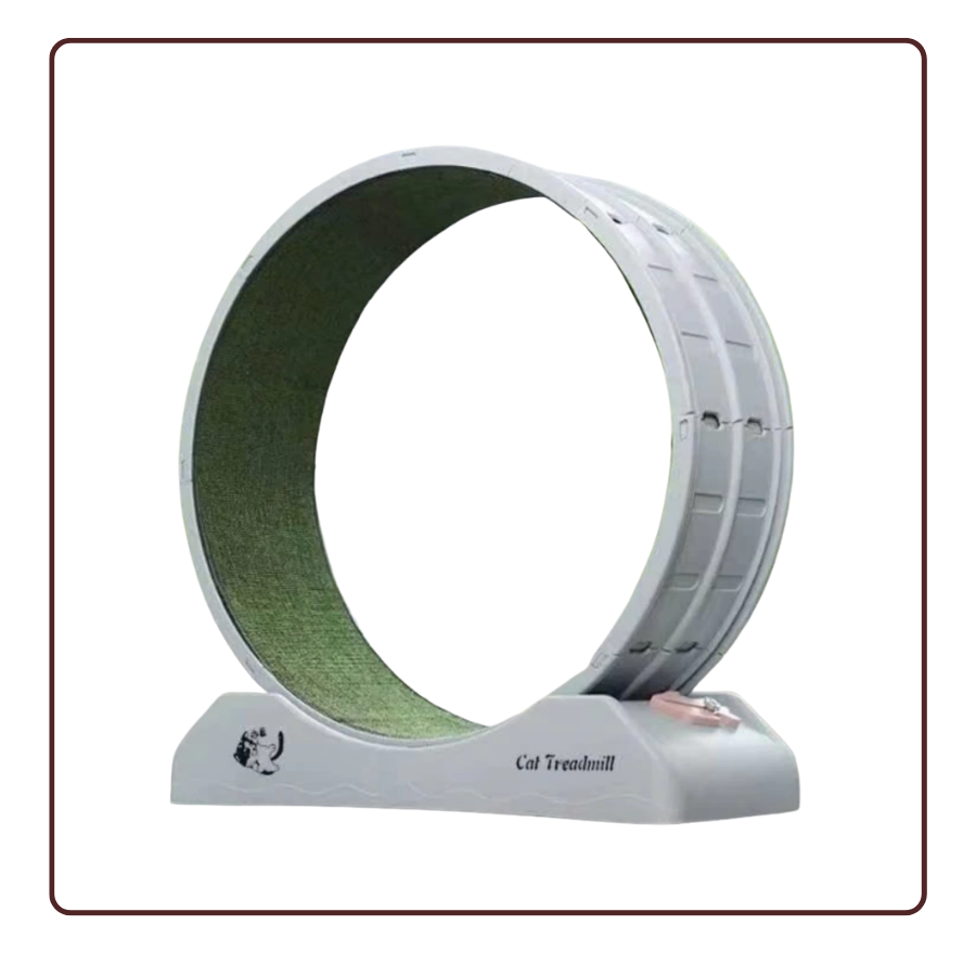 máy chạy bộ mèo