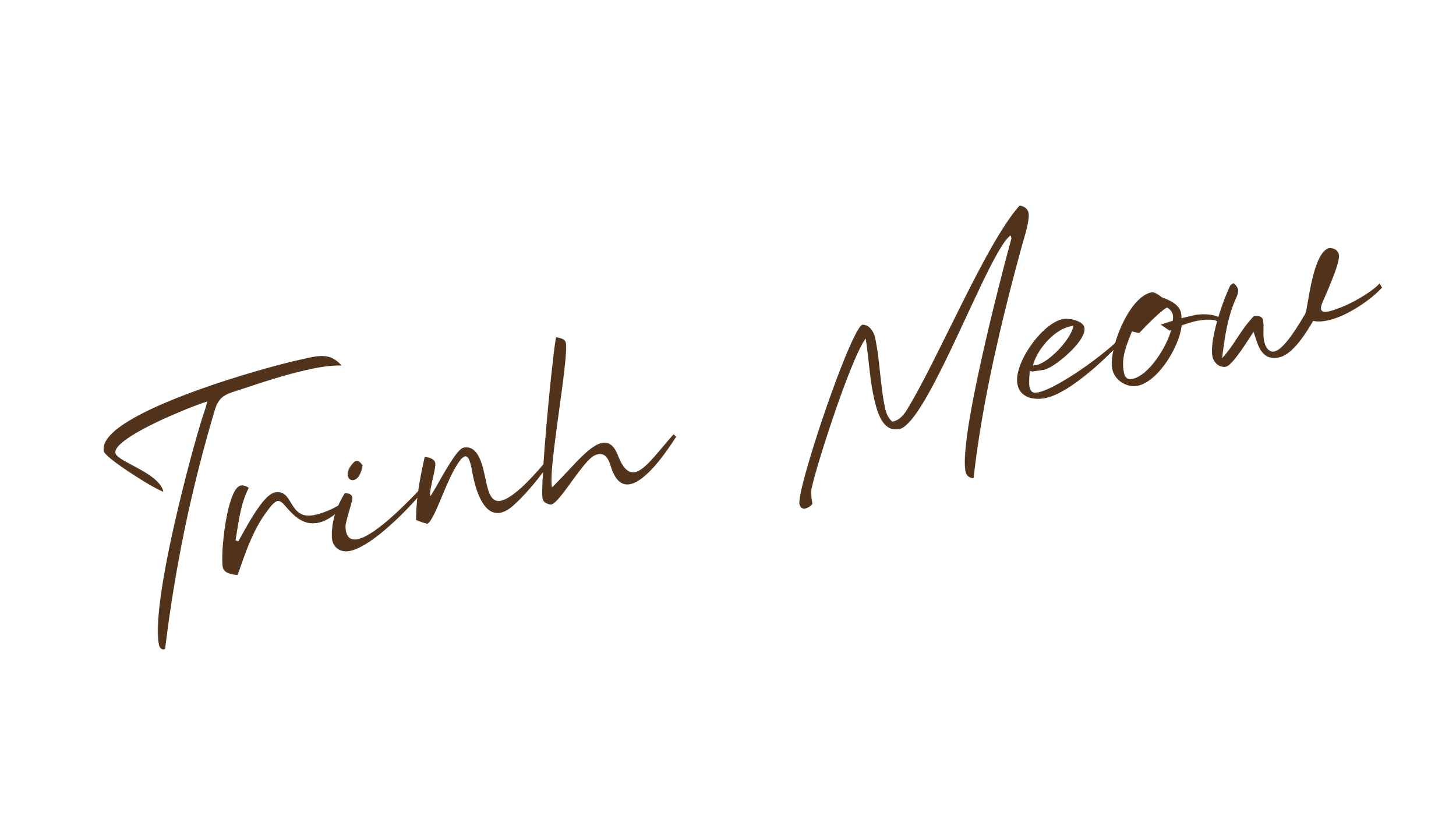 Text that says 'Trinh Meow' in brown cursive font on a black background.
