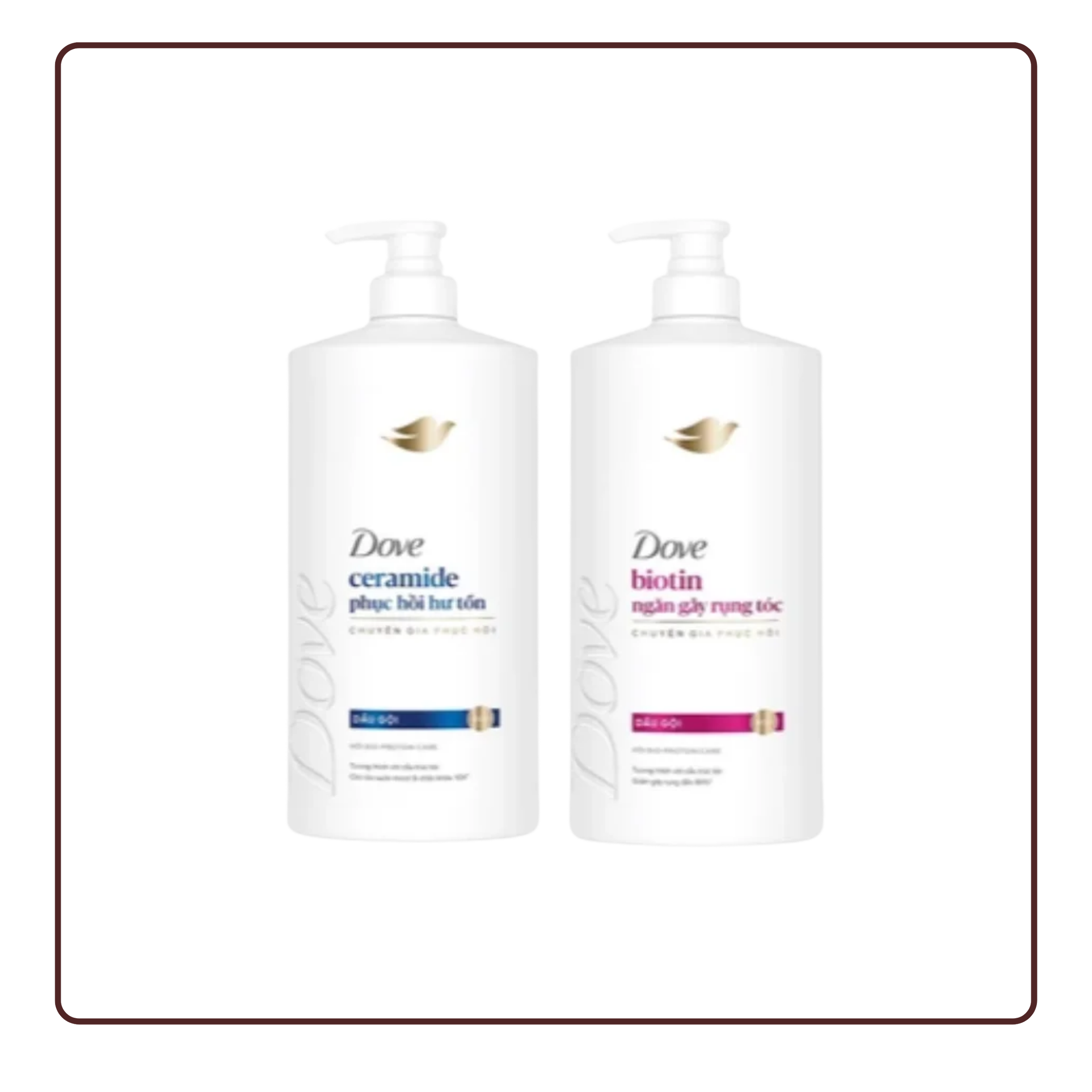 Dầu gội Dove Ceramide