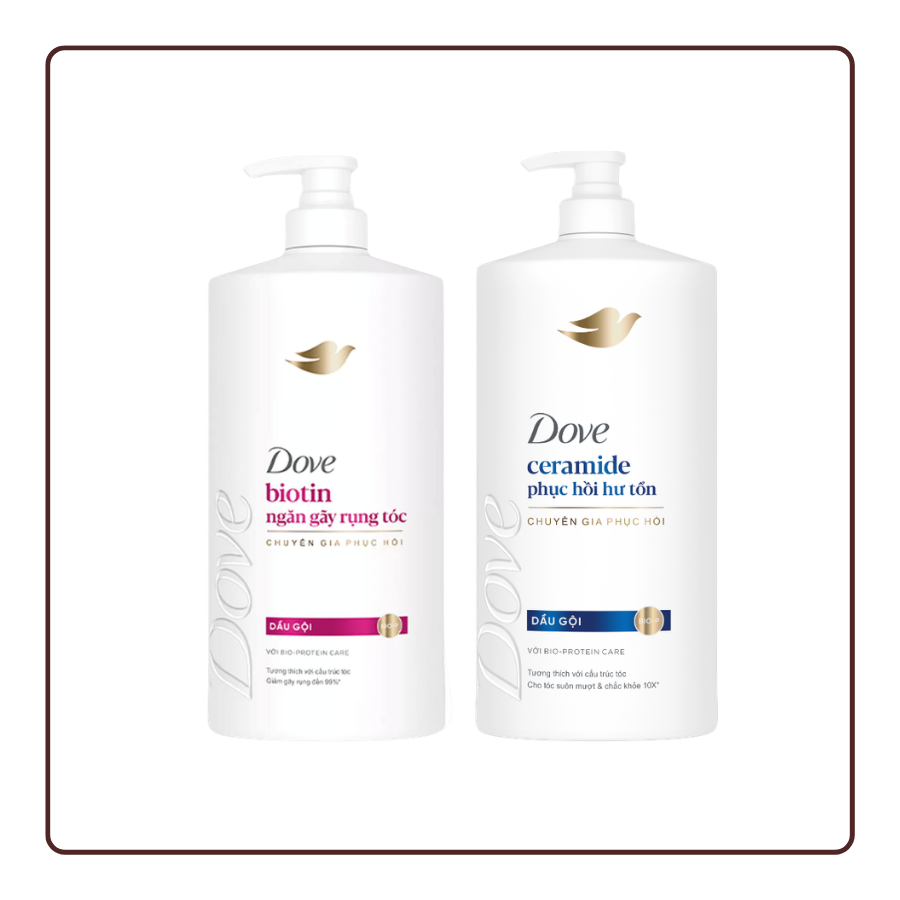 Dầu gội Dove Ceramide/Biotin
