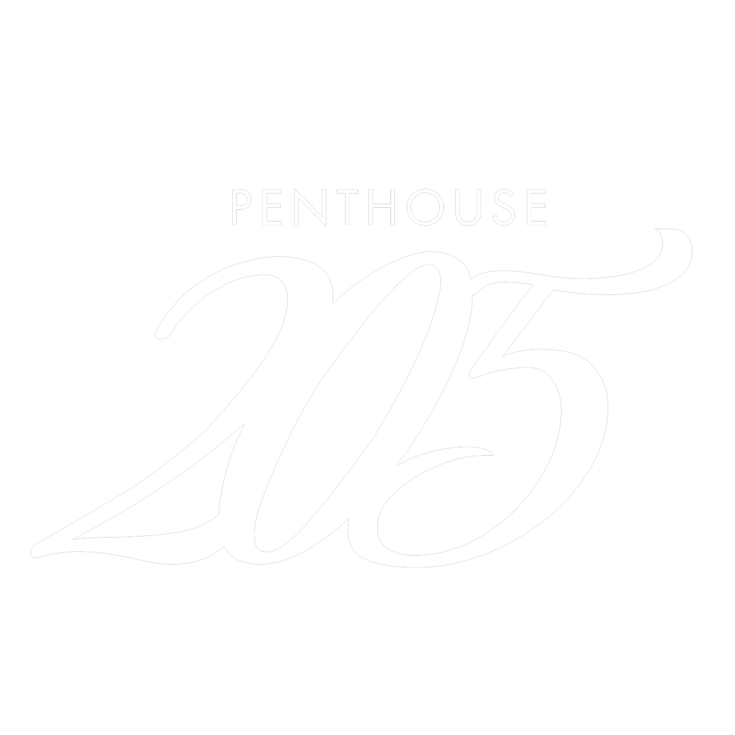 PENTHOUSE 205