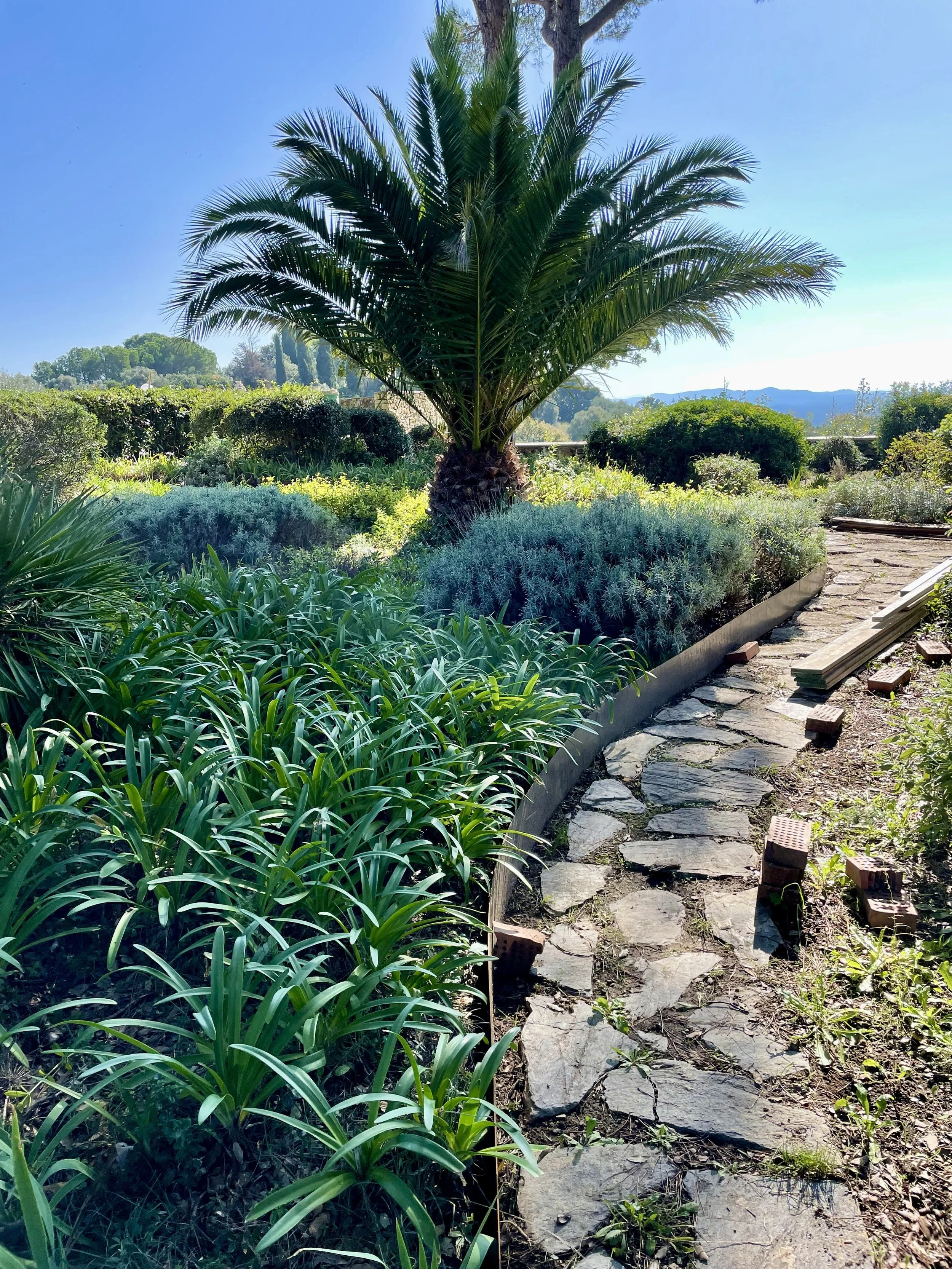 A stone pathway winding through a well-maintained garden with green shrubs, trees, and various desert plants, under a clear blue sky.